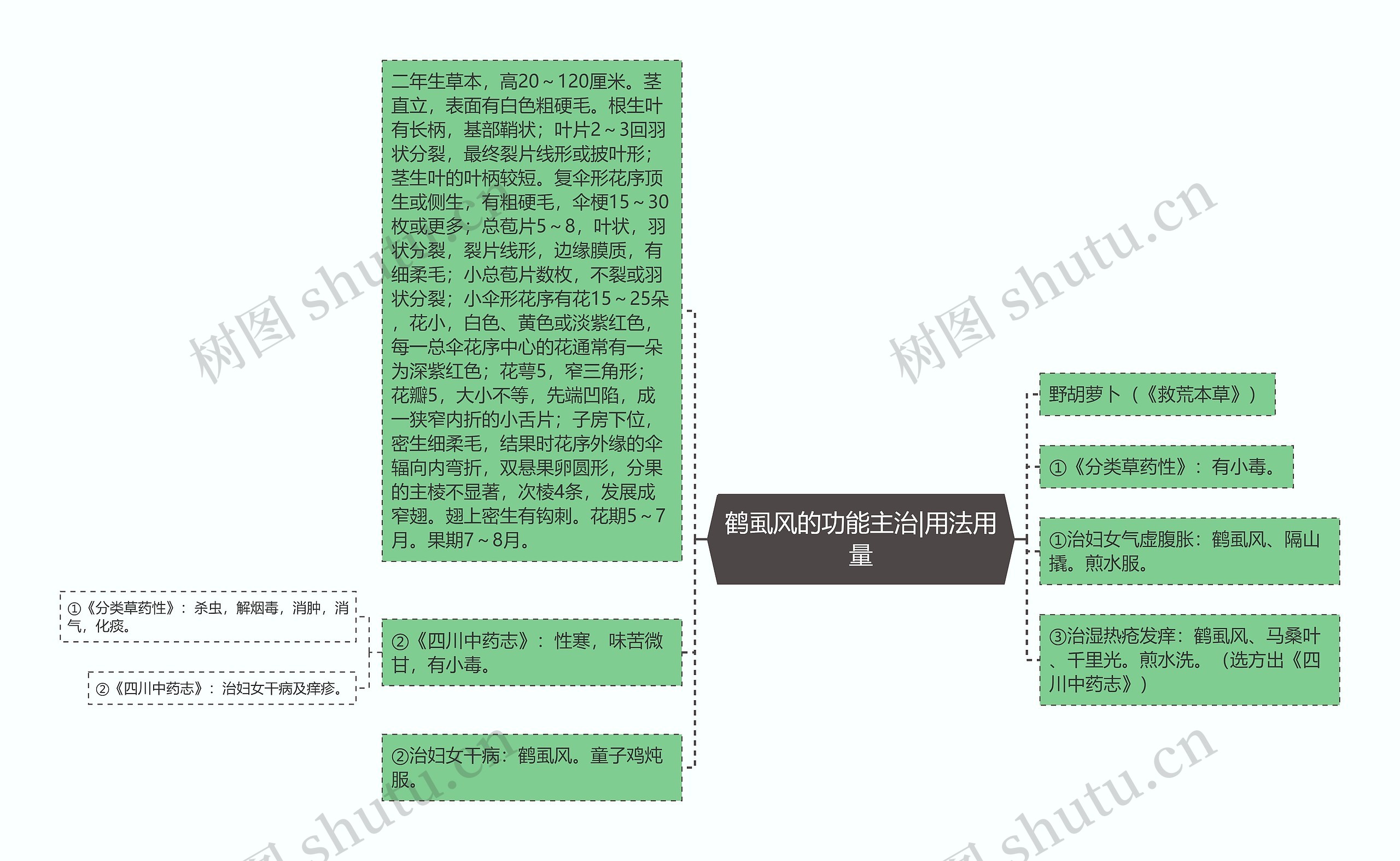 鹤虱风的功能主治|用法用量