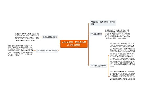 内科学指导：尿毒症的肾小管功能障碍