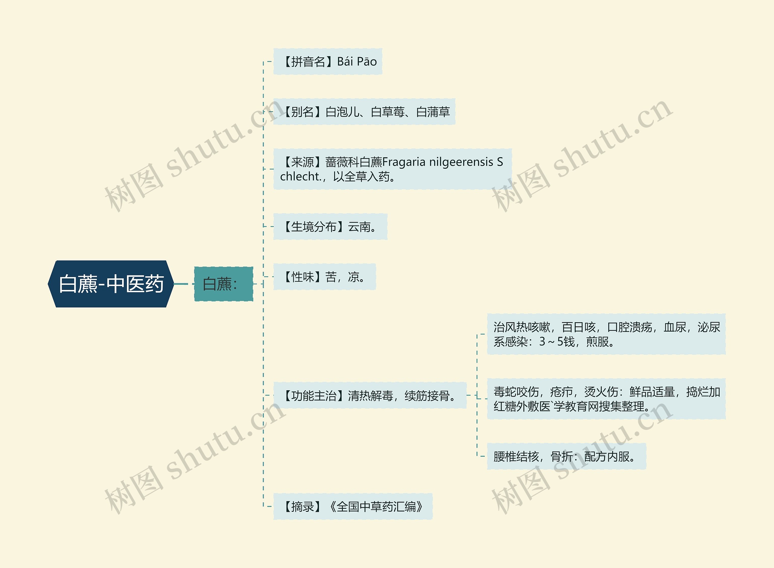 白藨-中医药