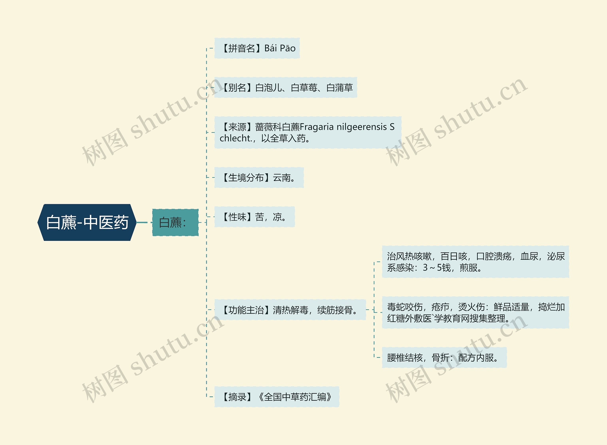白藨-中医药 白藨-中医药