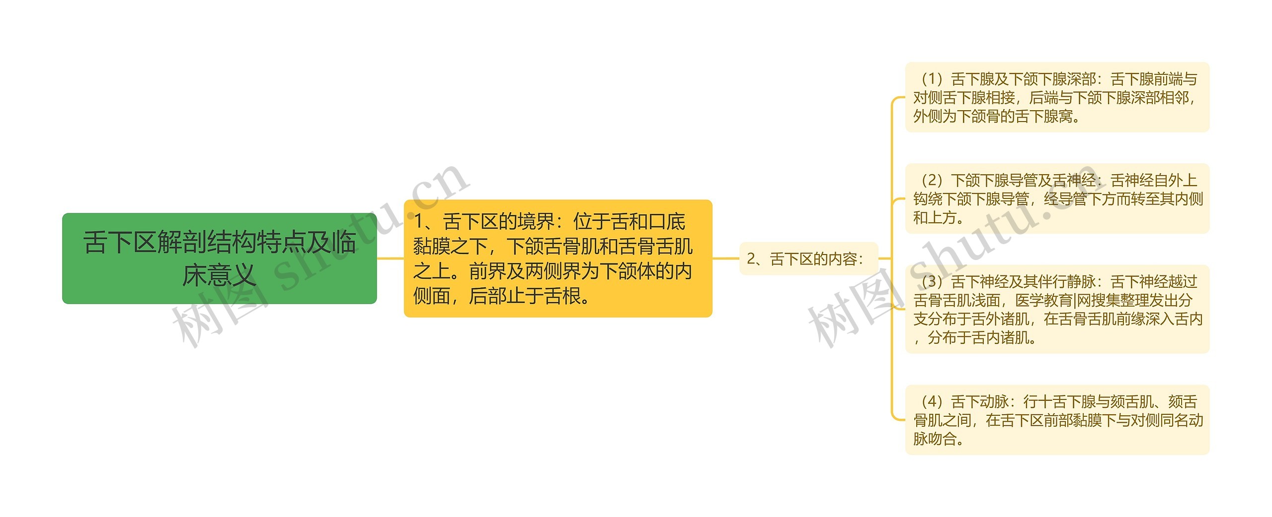 舌下区解剖结构特点及临床意义 舌下区解剖结构特点及临床意义