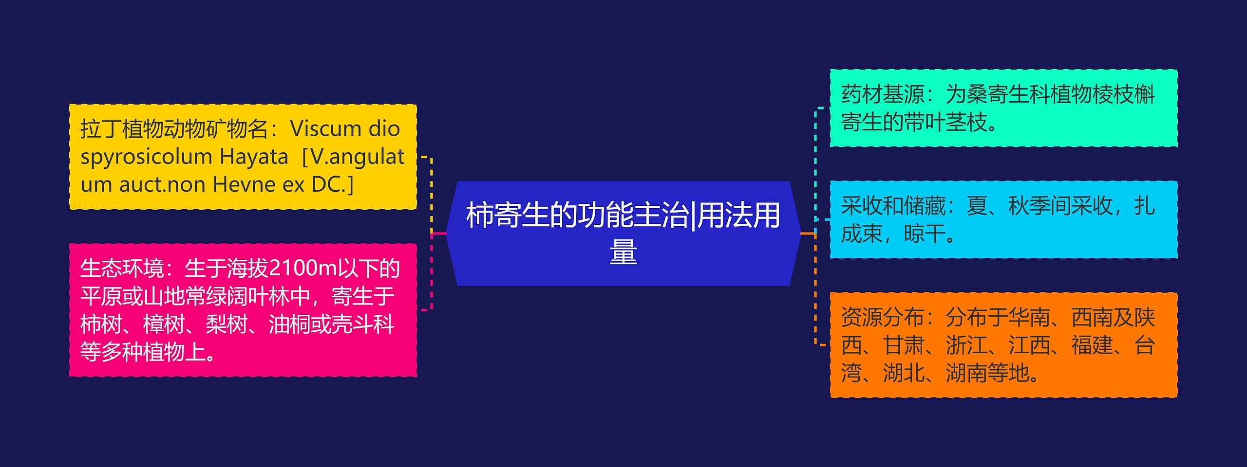 柿寄生的功能主治|用法用量 柿寄生的功能主治|用法用量