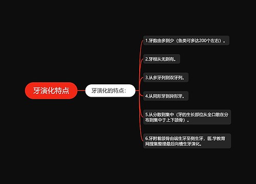 牙演化特点