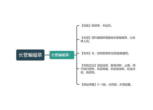 长管蝙蝠草