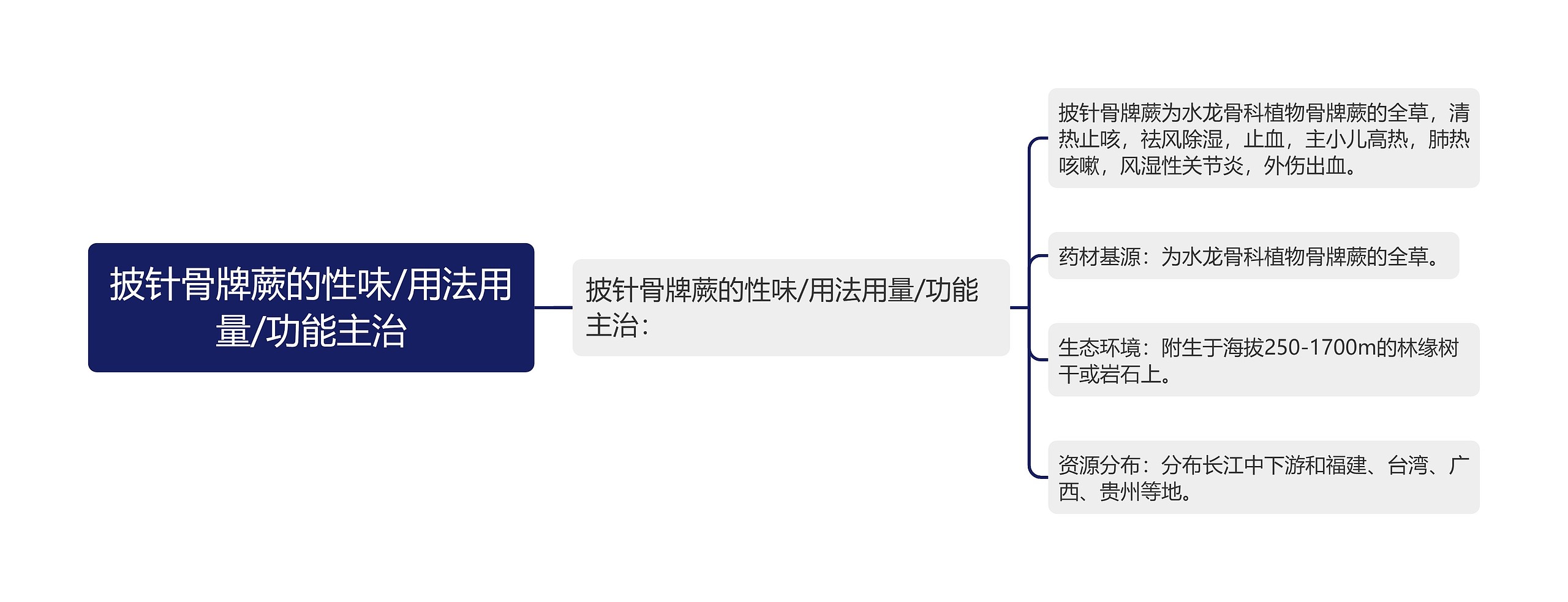 披针骨牌蕨的性味/用法用量/功能主治思维导图