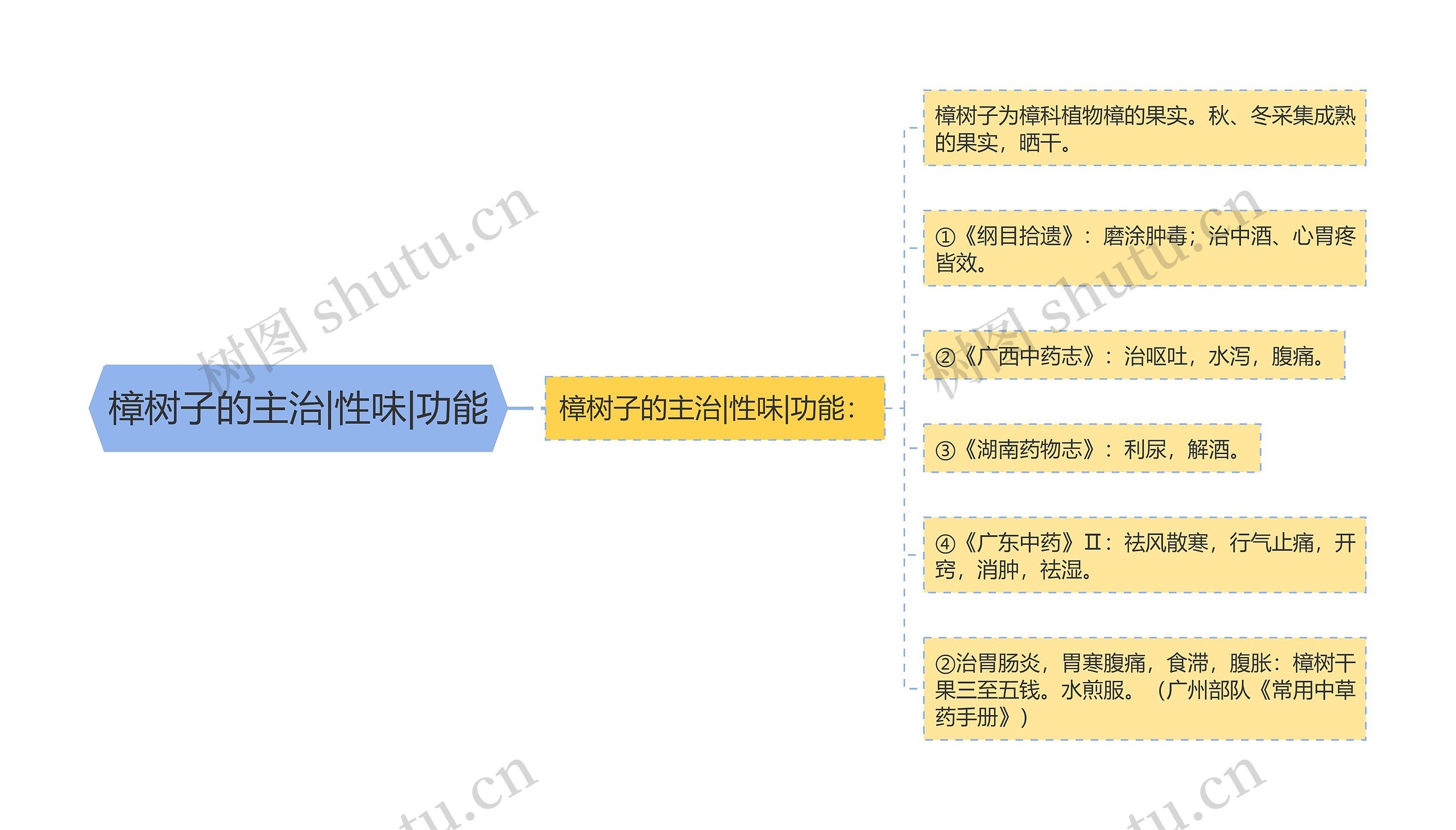 樟树子的主治|性味|功能思维导图