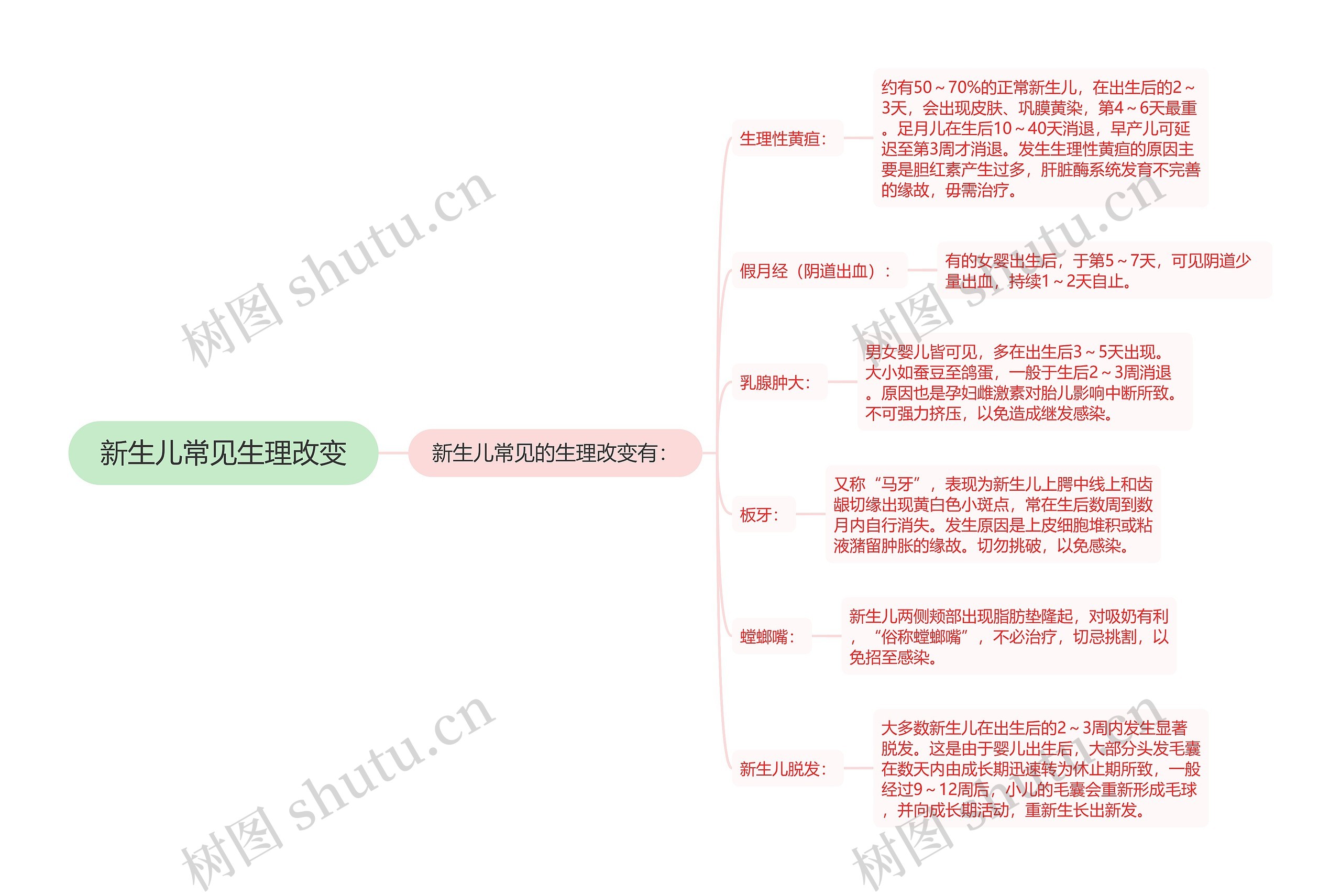 新生儿常见生理改变思维导图