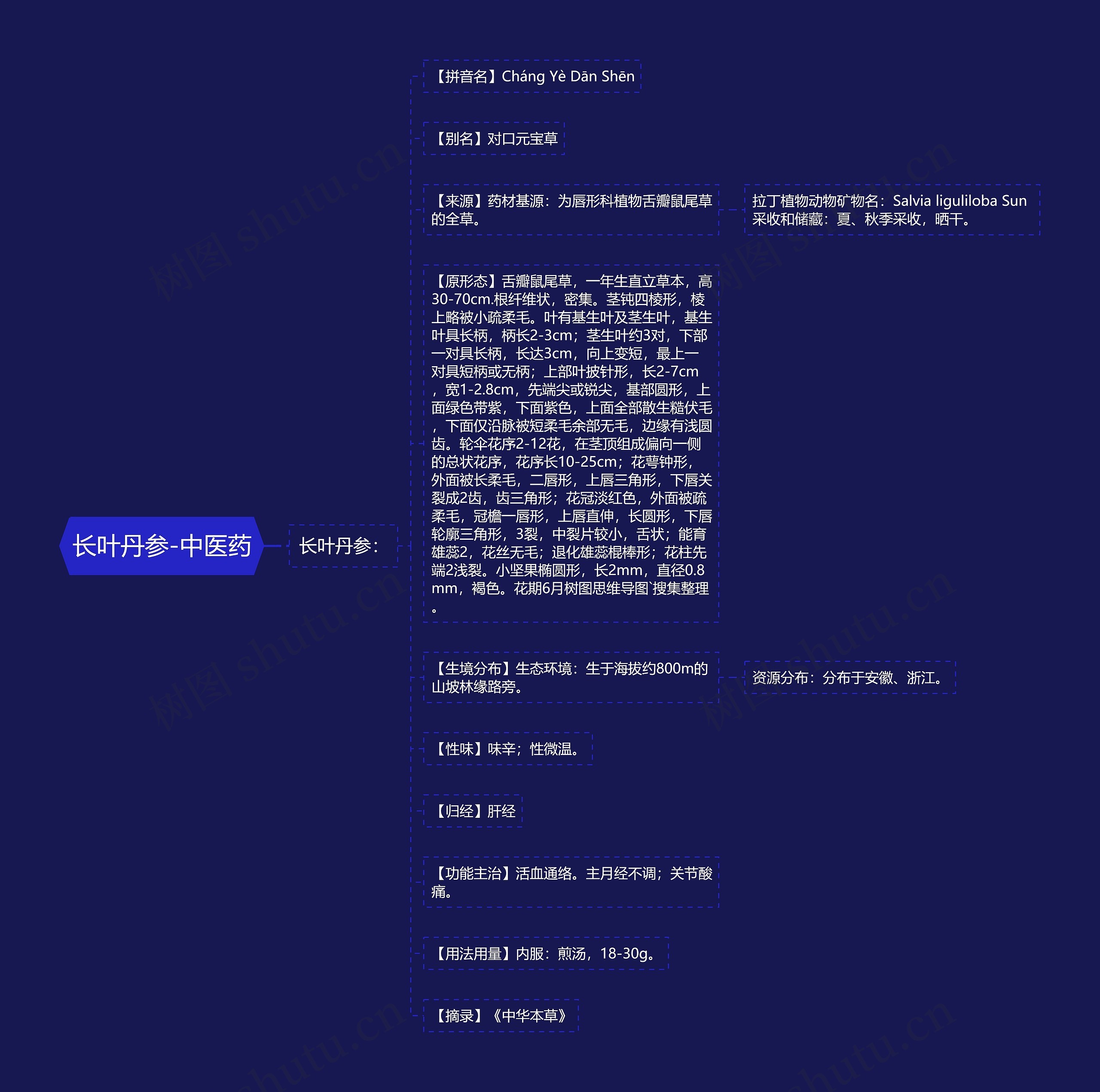 长叶丹参-中医药 长叶丹参-中医药