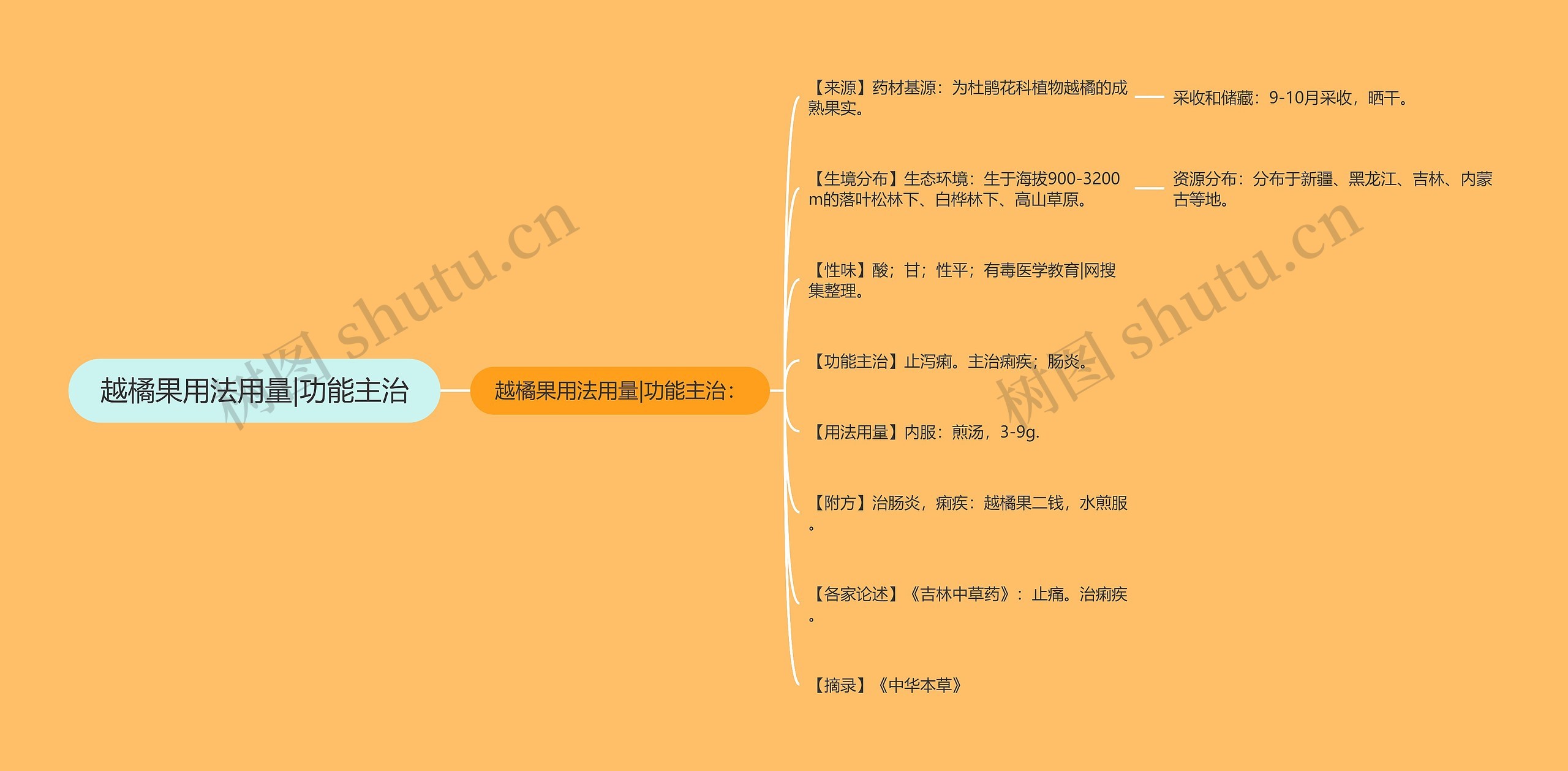 越橘果用法用量|功能主治思维导图