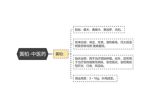 黄柏-中医药