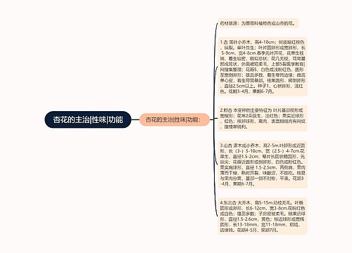 杏花的主治|性味|功能