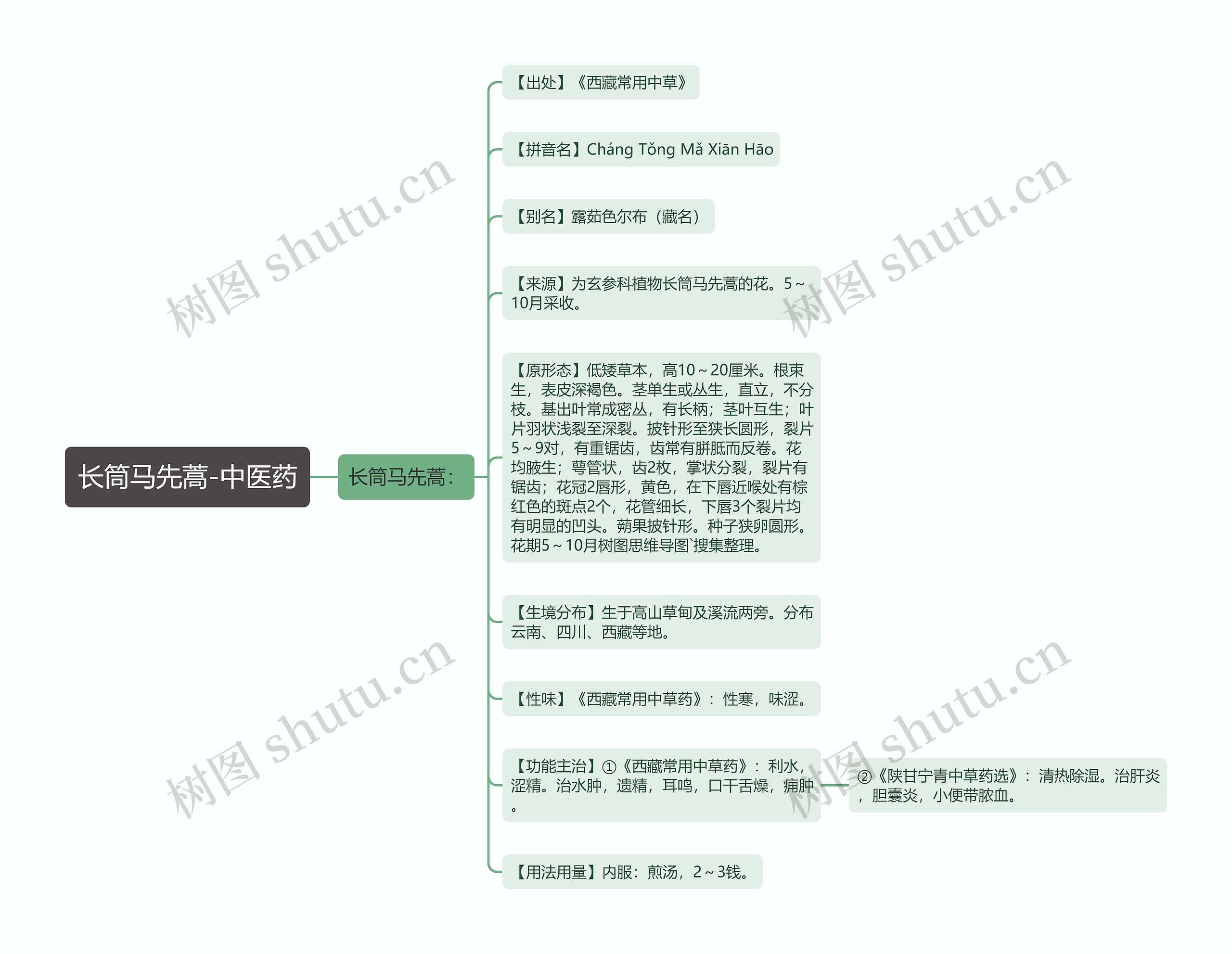 长筒马先蒿-中医药 长筒马先蒿-中医药