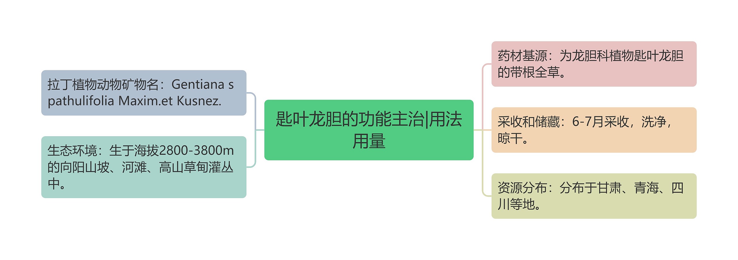 匙叶龙胆的功能主治|用法用量 匙叶龙胆的功能主治|用法用量