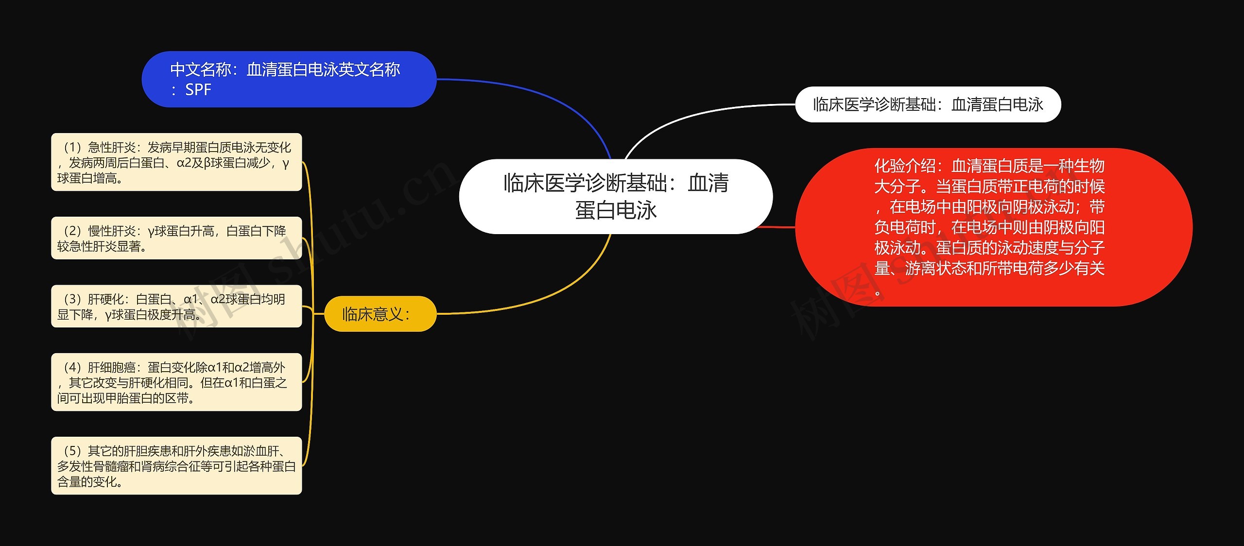 临床医学诊断基础：血清蛋白电泳思维导图