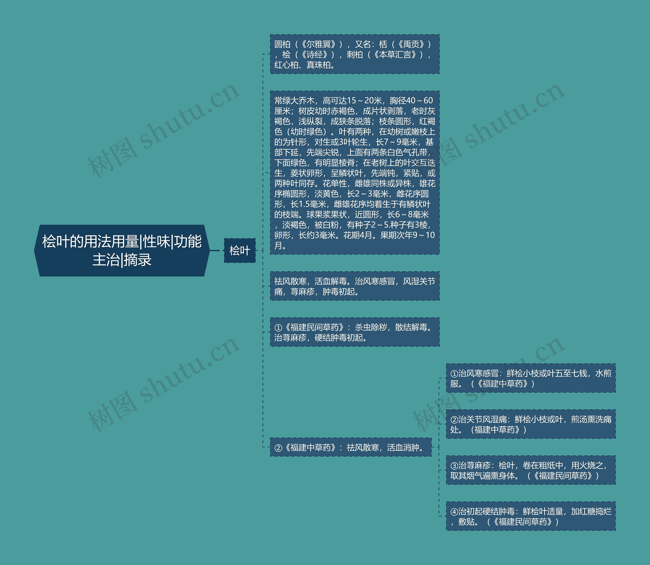 桧叶的用法用量|性味|功能主治|摘录思维导图