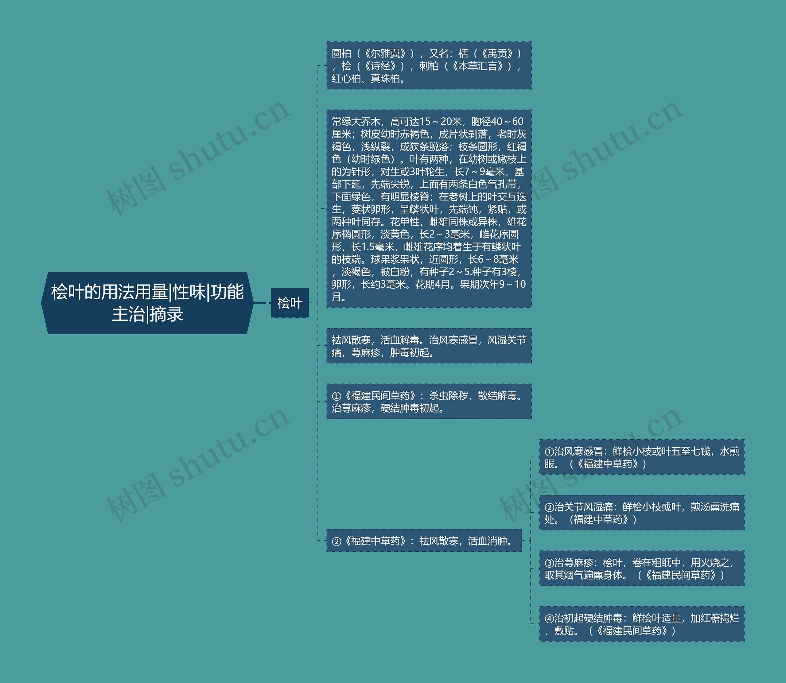 桧叶的用法用量|性味|功能主治|摘录 桧叶的用法用量|性味|功能主治|摘录