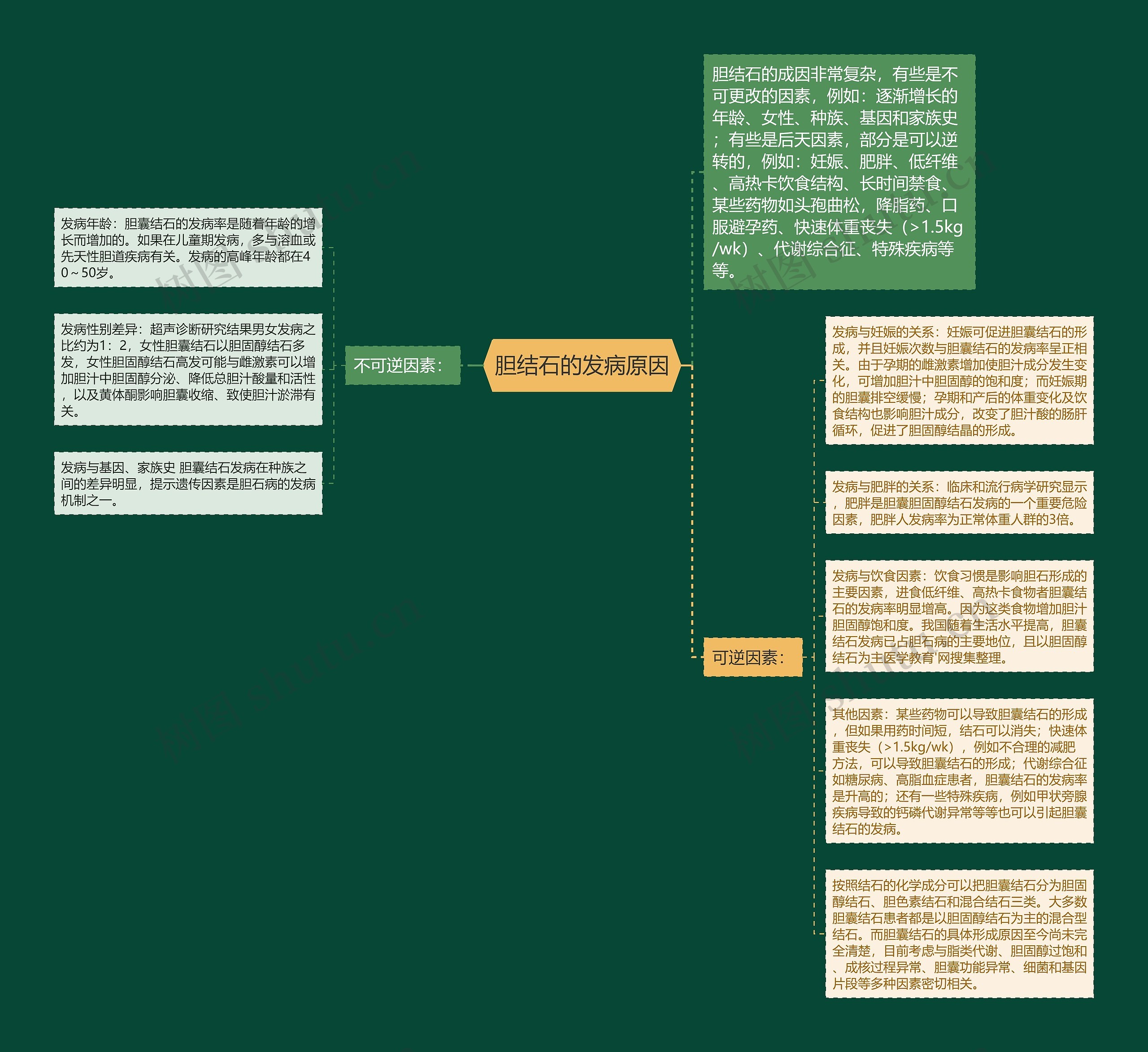 胆结石的发病原因思维导图