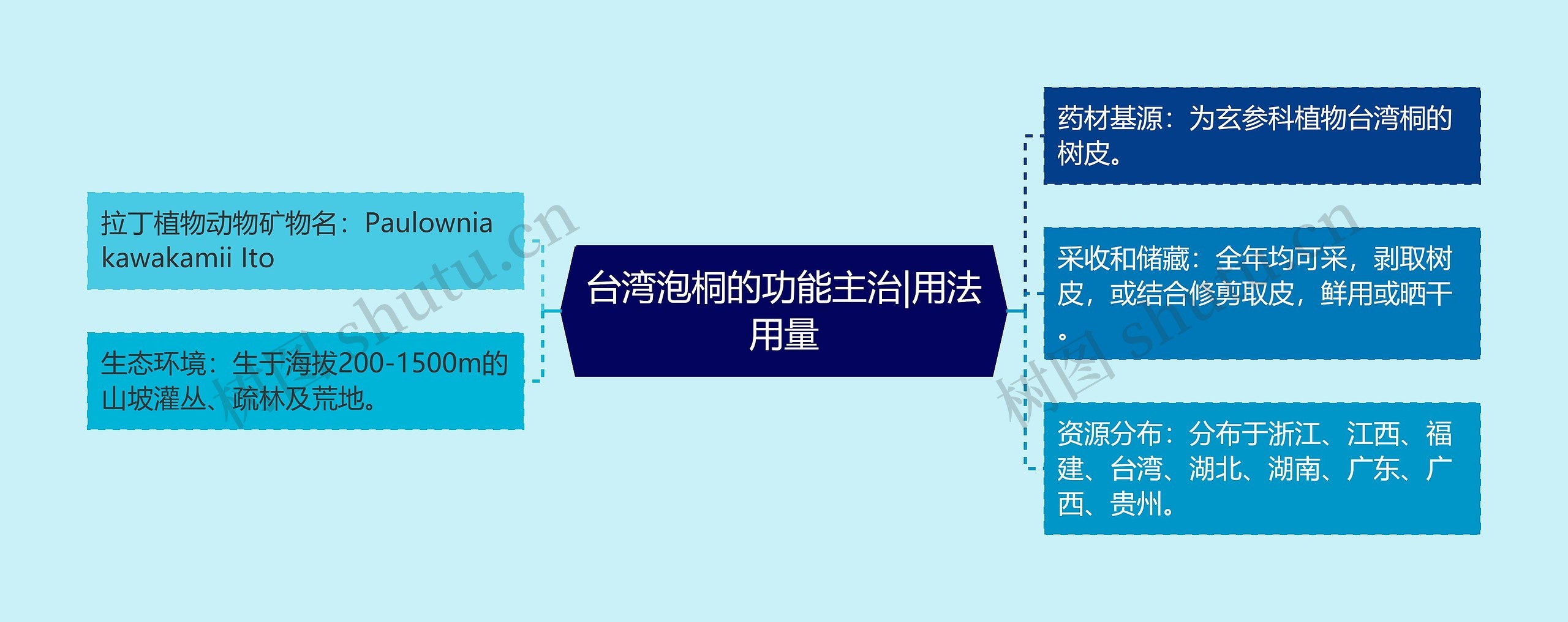 台湾泡桐的功能主治|用法用量