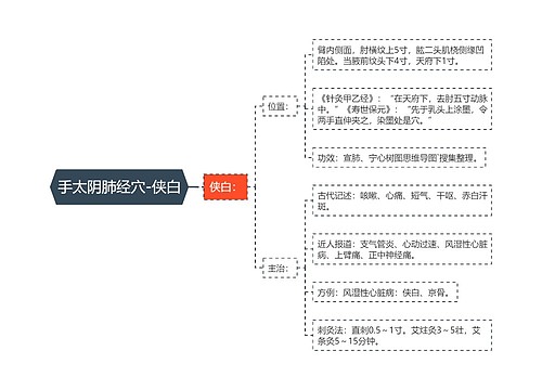 手太阴肺经穴-侠白