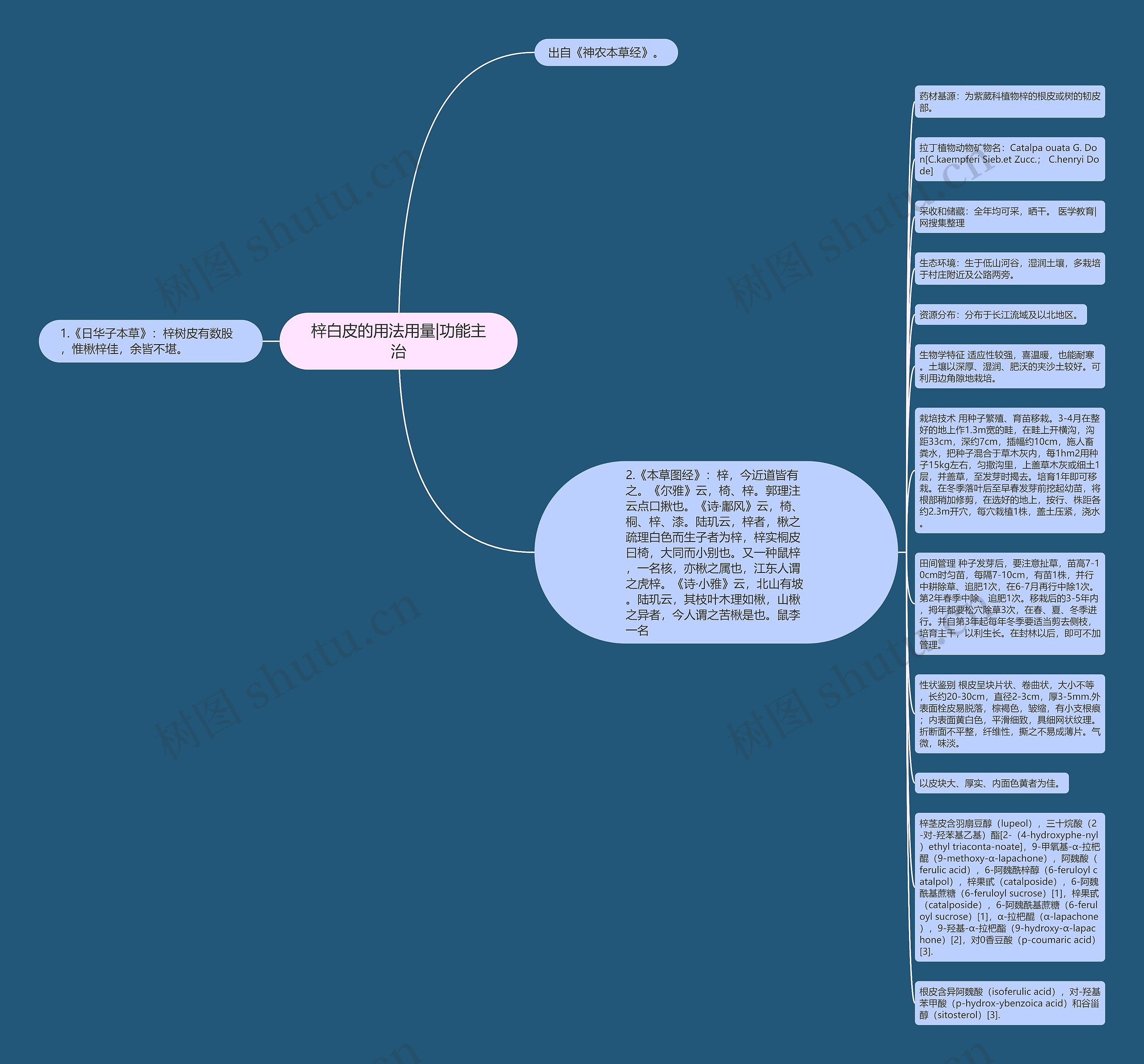 梓白皮的用法用量|功能主治思维导图
