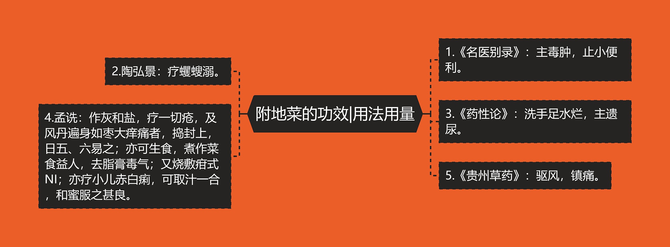 附地菜的功效|用法用量思维导图