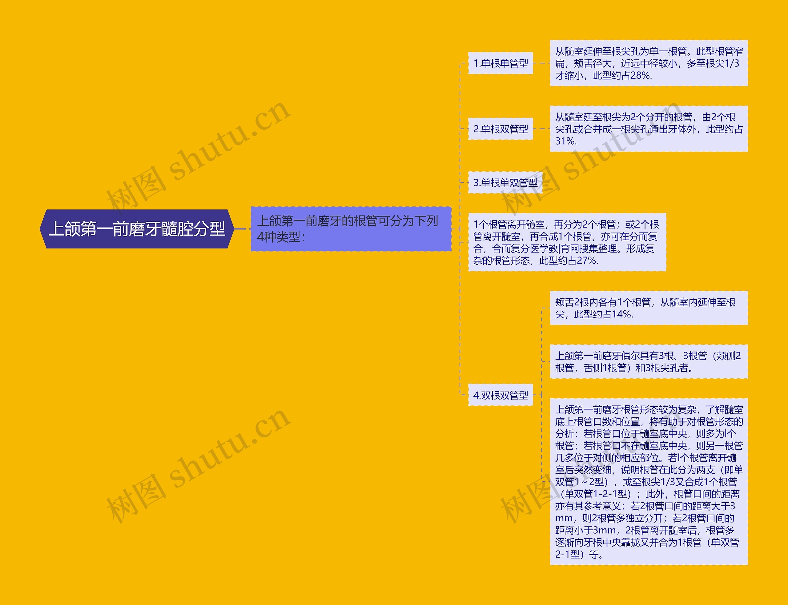 上颌第一前磨牙髓腔分型