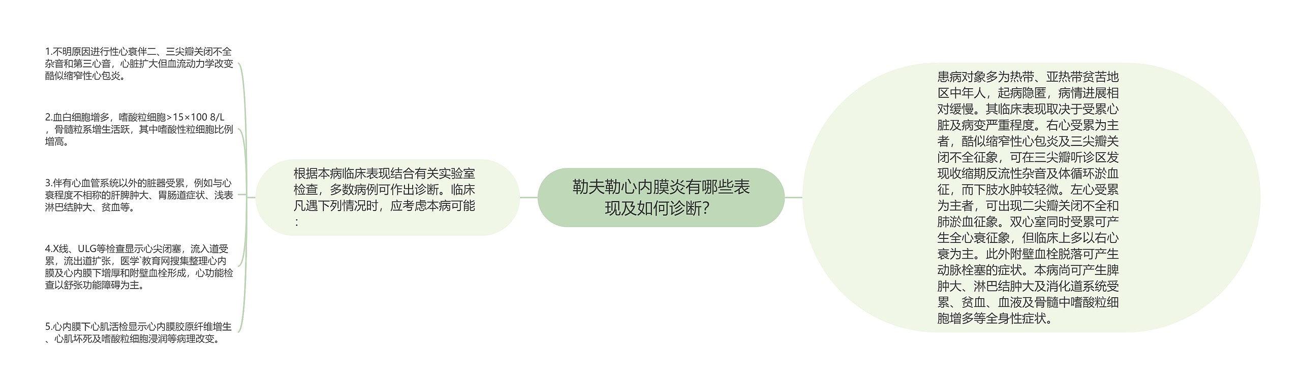 勒夫勒心内膜炎有哪些表现及如何诊断？思维导图