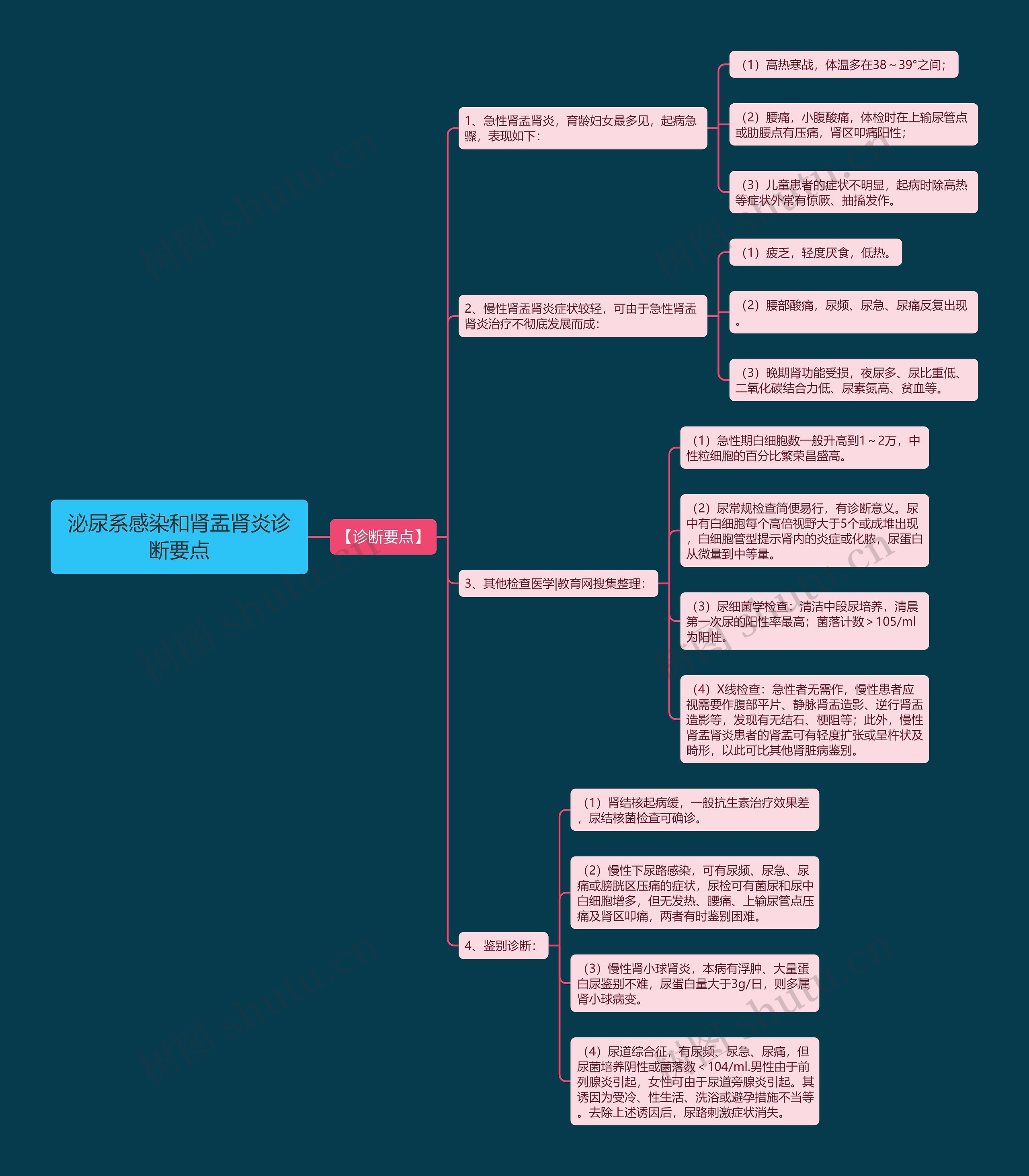 泌尿系感染和肾盂肾炎诊断要点 泌尿系感染和肾盂肾炎诊断要点