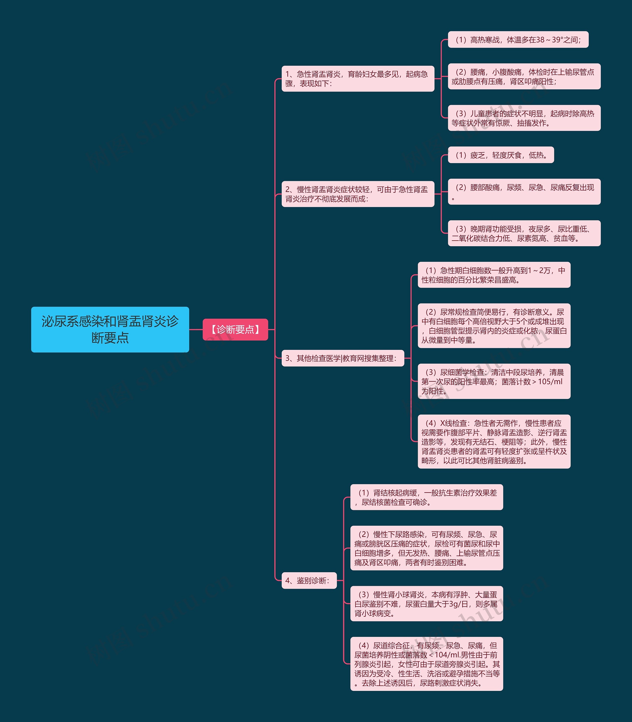 泌尿系感染和肾盂肾炎诊断要点思维导图