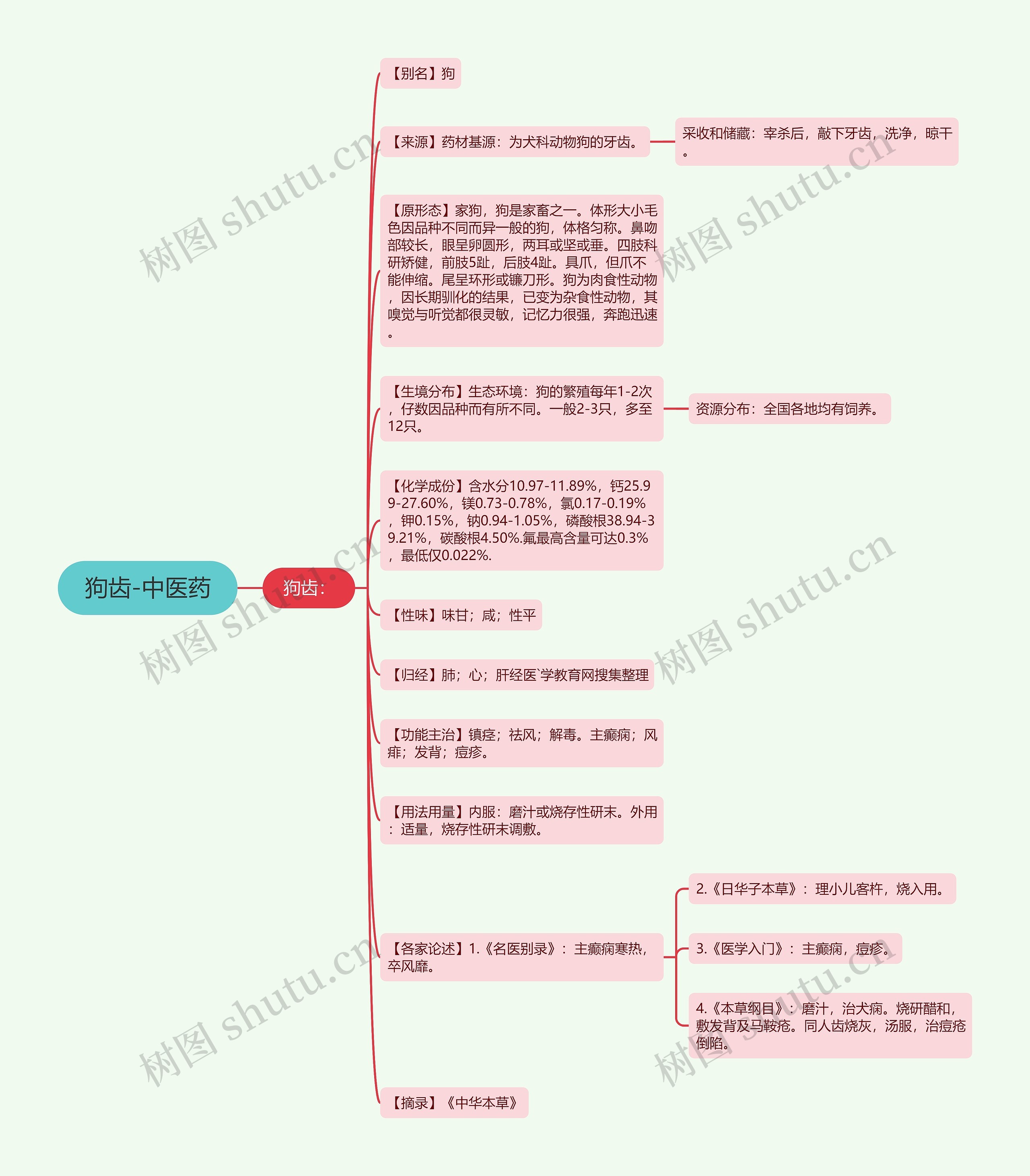 狗齿-中医药 狗齿-中医药