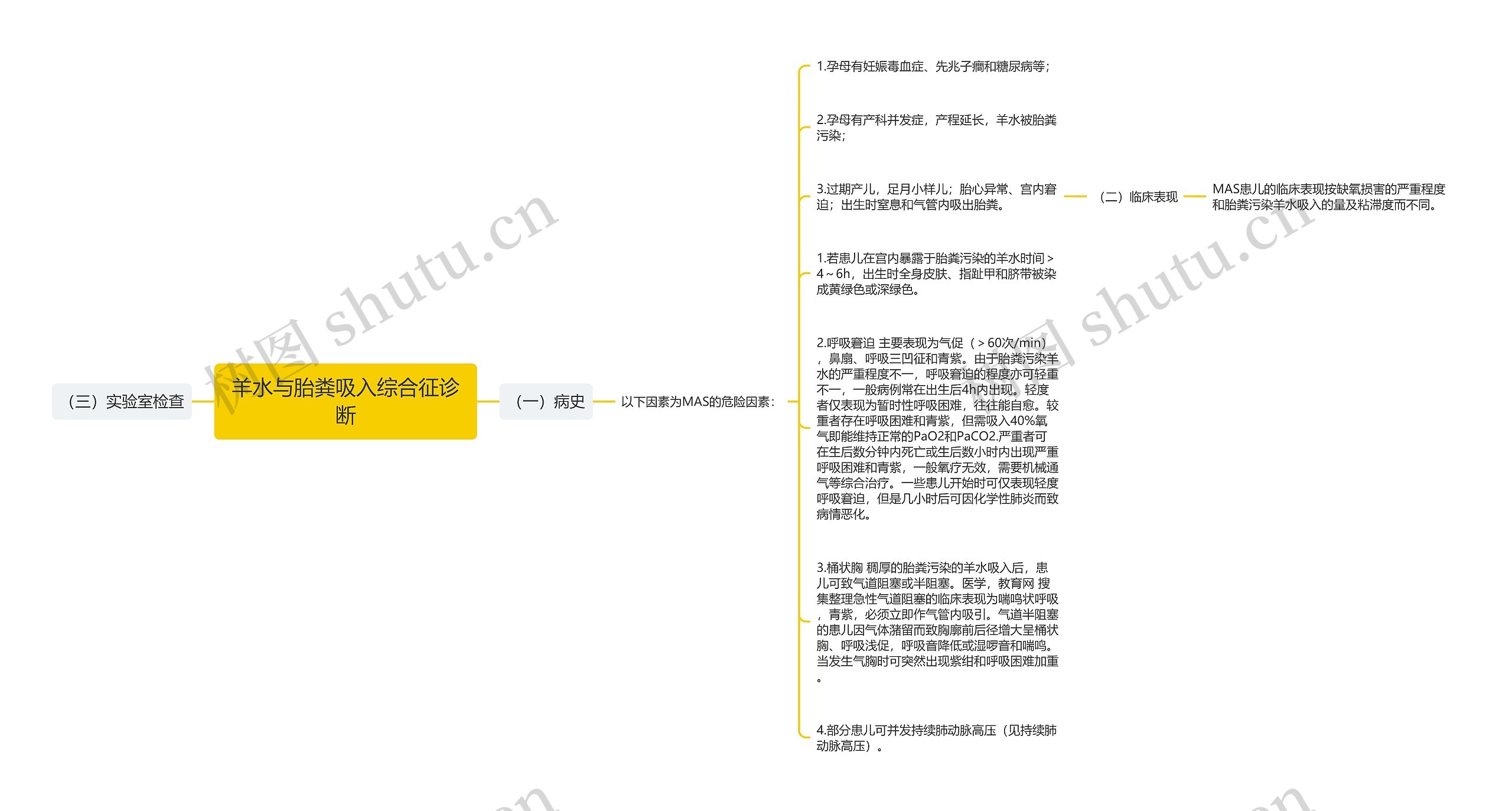 羊水与胎粪吸入综合征诊断思维导图