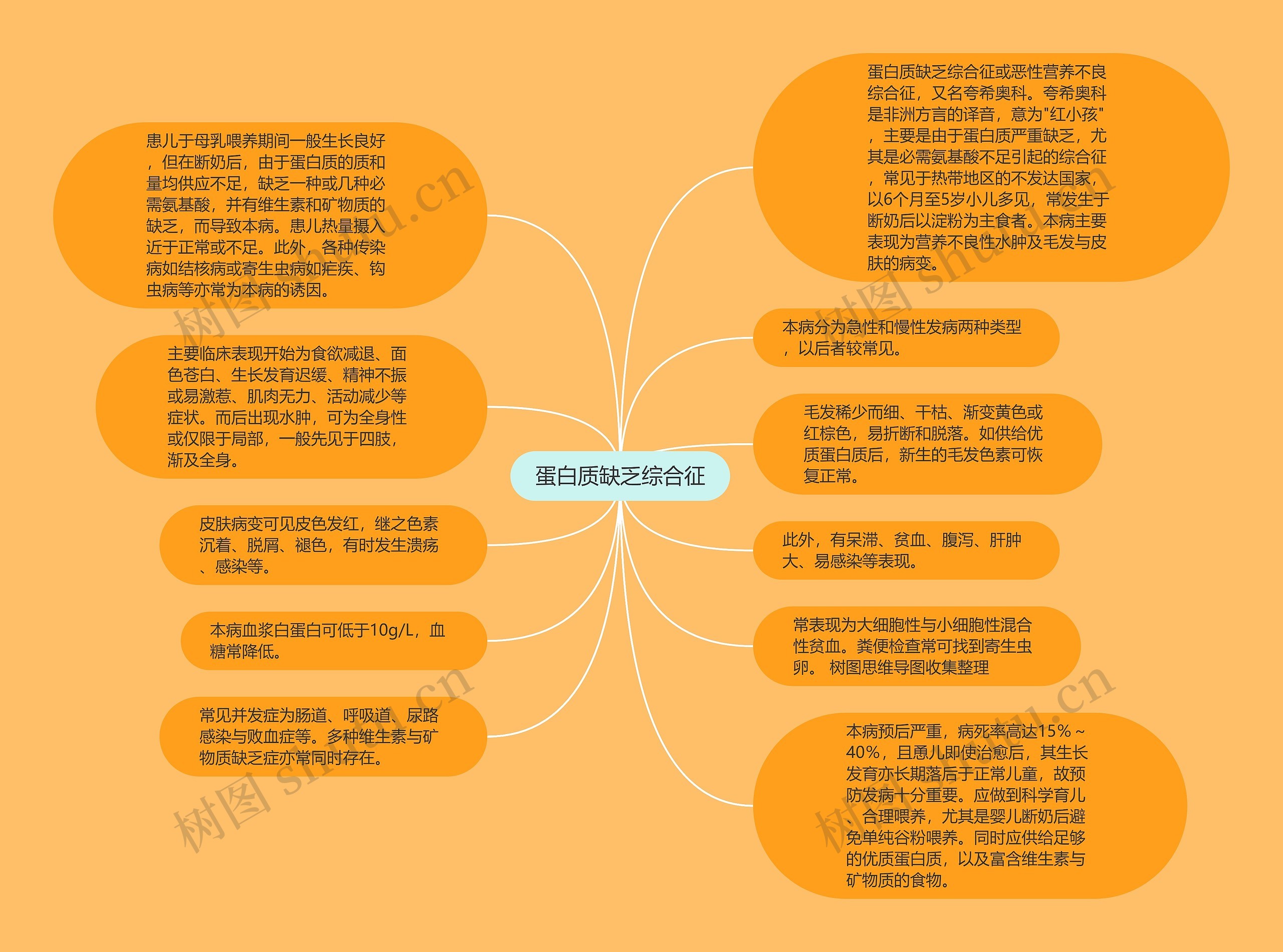 蛋白质缺乏综合征思维导图