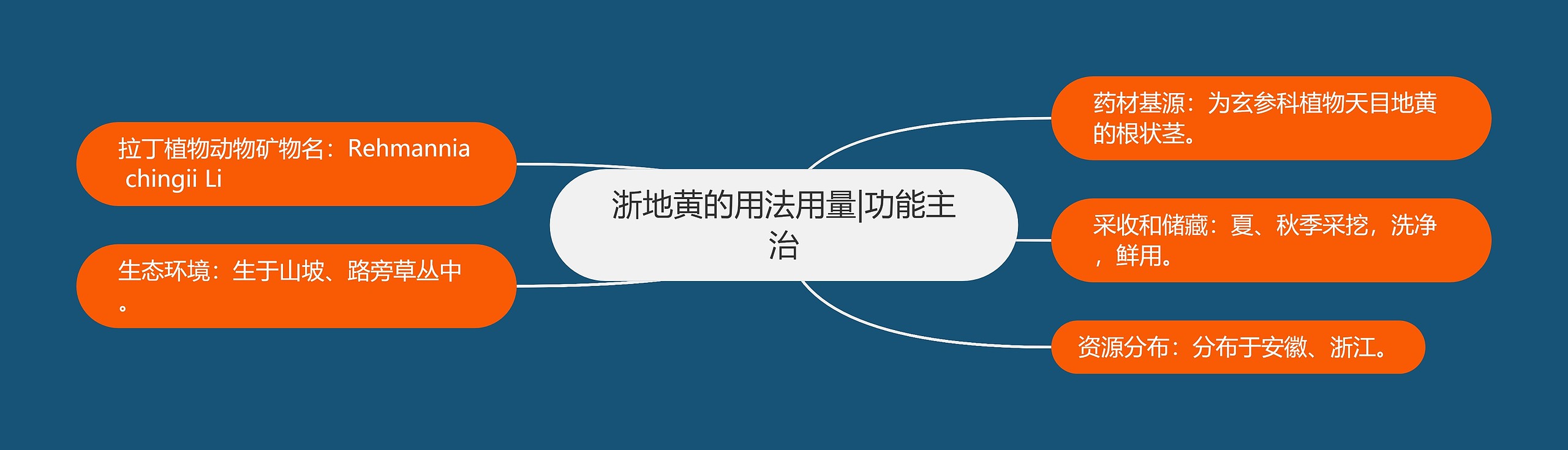 浙地黄的用法用量|功能主治 浙地黄的用法用量|功能主治