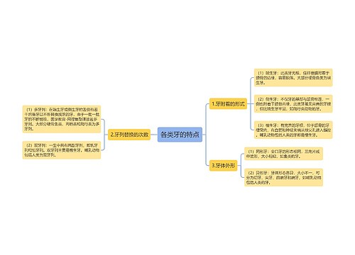 各类牙的特点