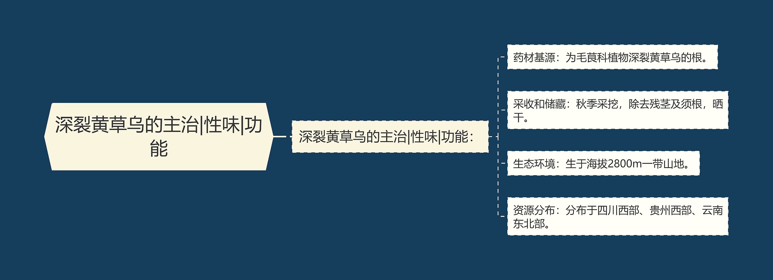 深裂黄草乌的主治|性味|功能