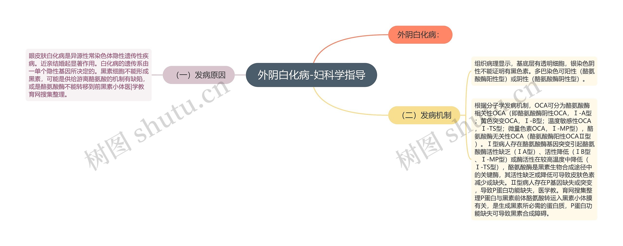 外阴白化病-妇科学指导思维导图