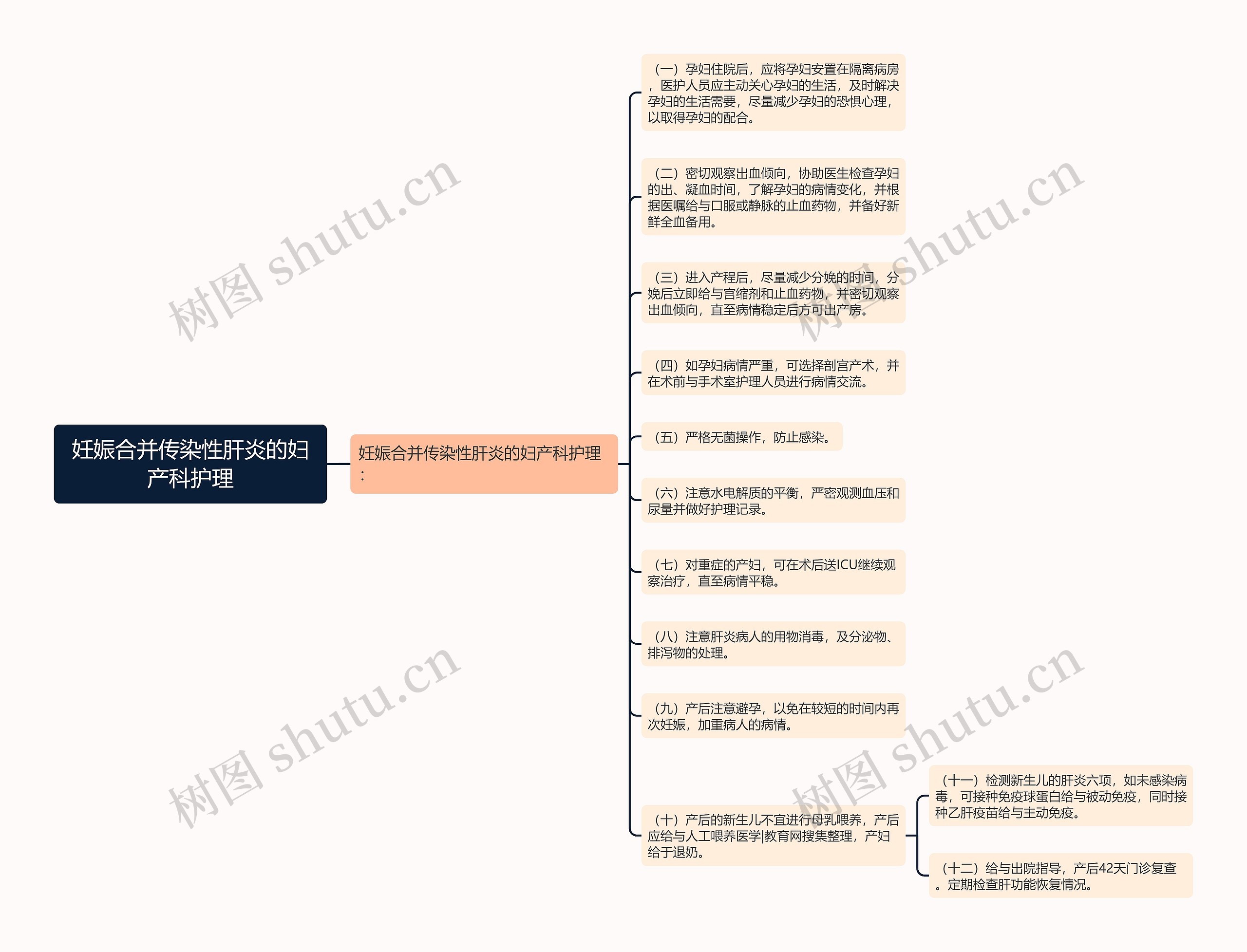 妊娠合并传染性肝炎的妇产科护理思维导图