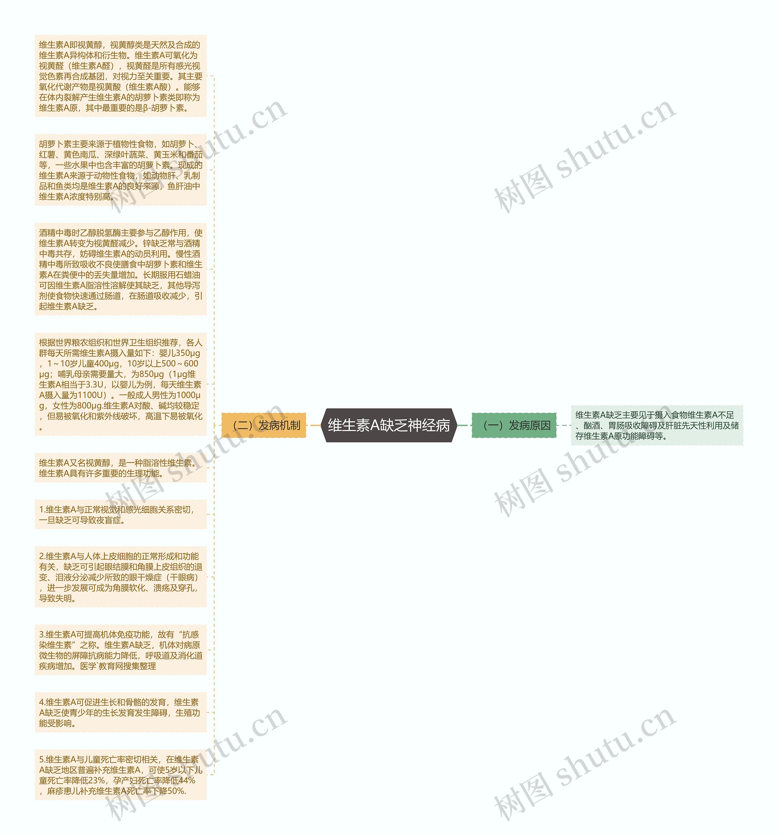 维生素A缺乏神经病思维导图
