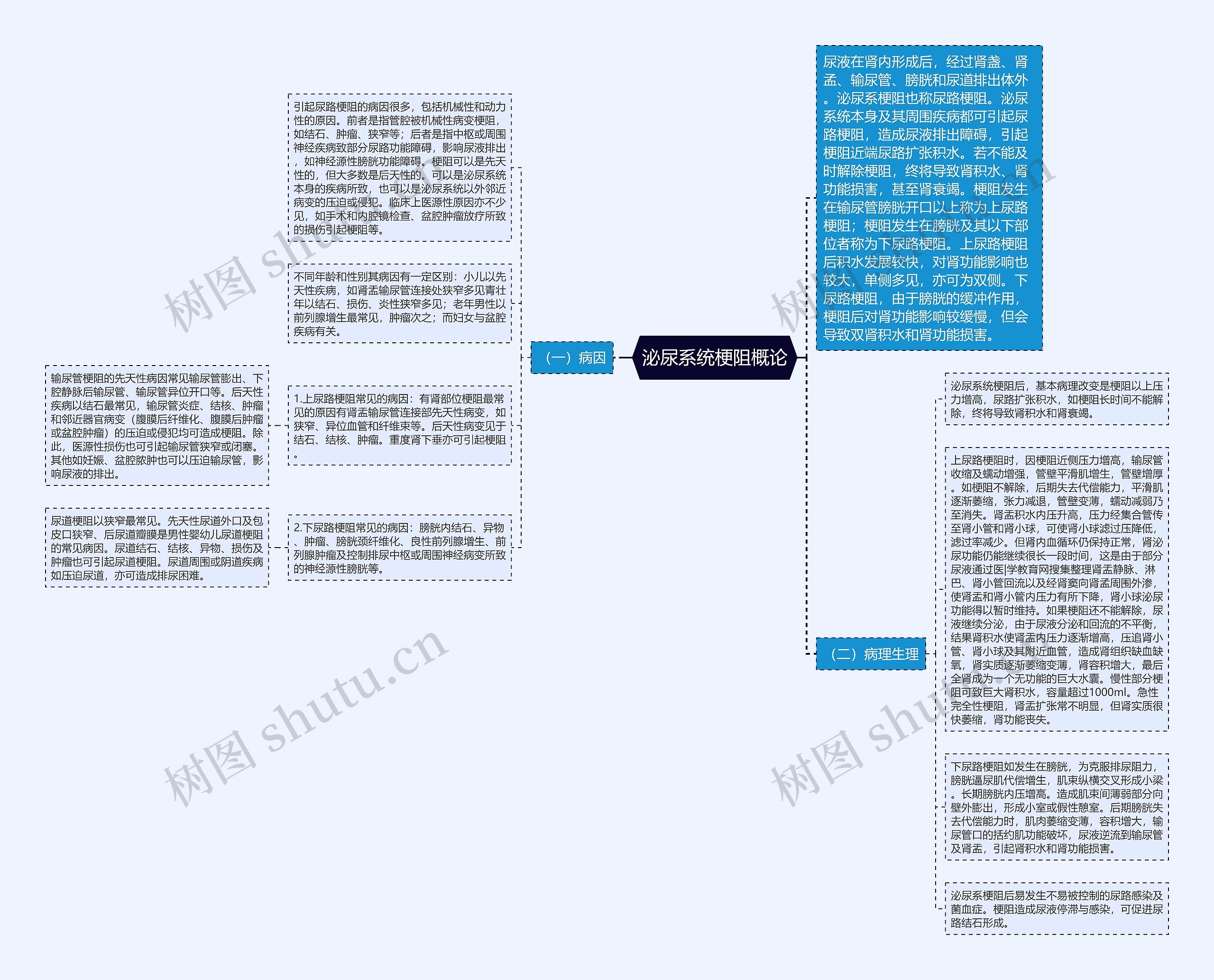 泌尿系统梗阻概论思维导图