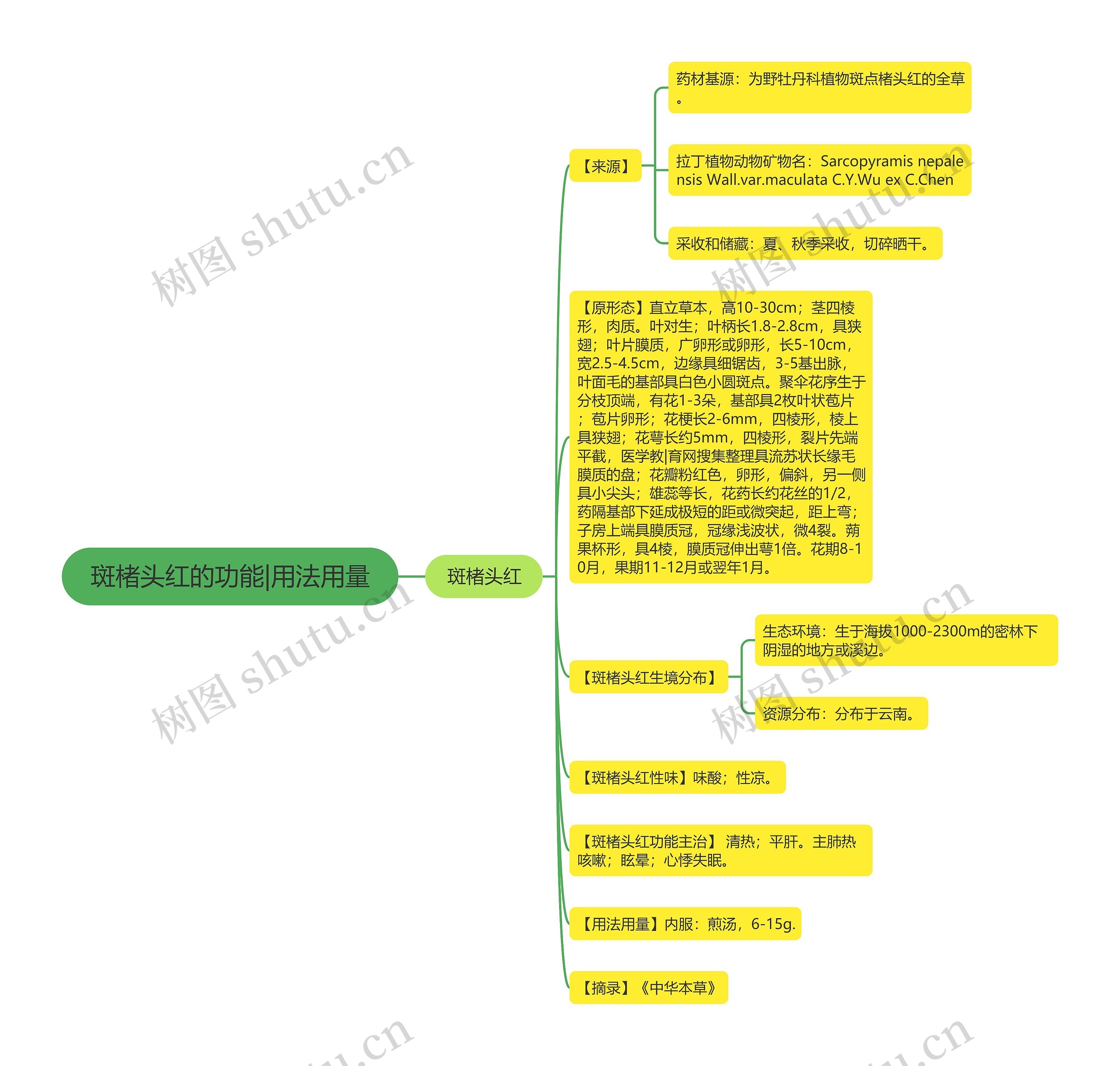 斑楮头红的功能|用法用量思维导图