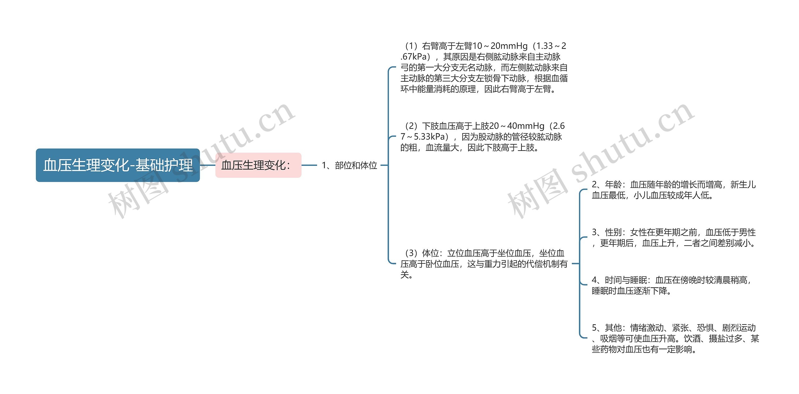 血压生理变化-基础护理