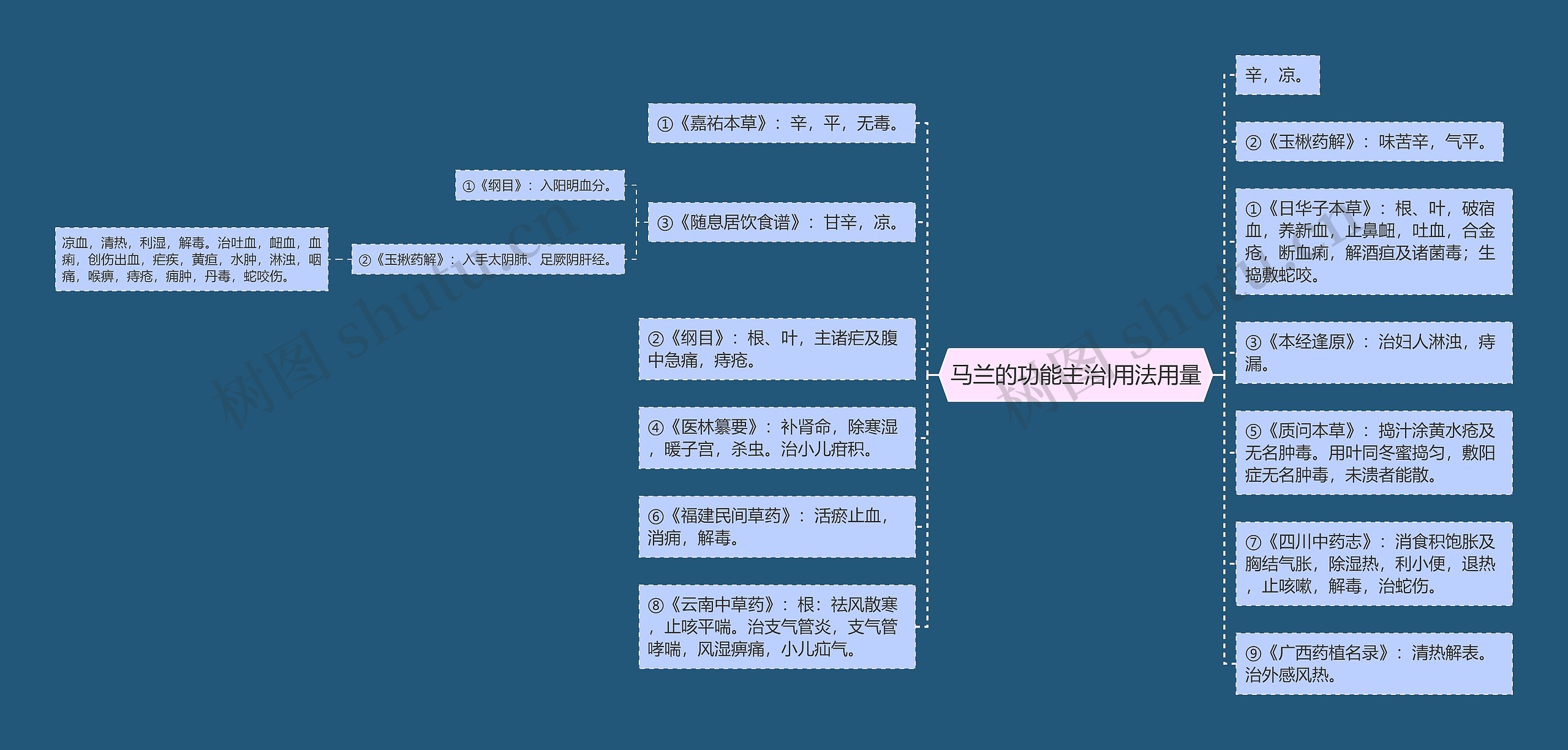 马兰的功能主治|用法用量思维导图