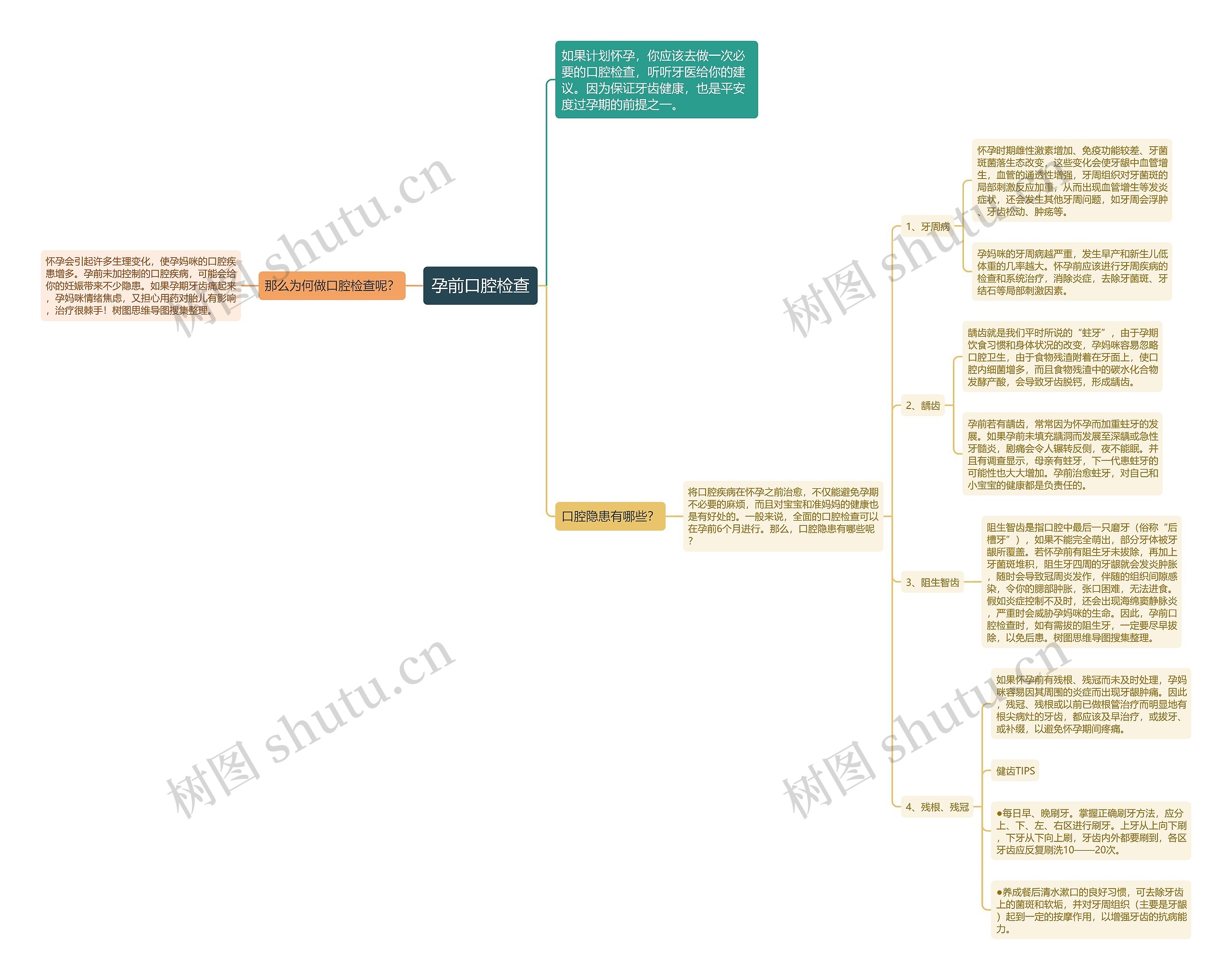 孕前口腔检查思维导图