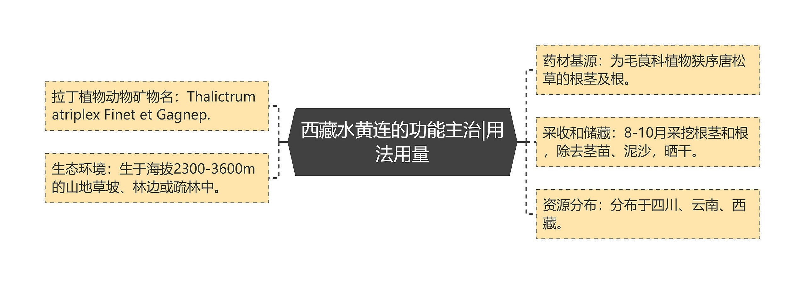 西藏水黄连的功能主治|用法用量 西藏水黄连的功能主治|用法用量