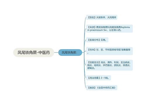 凤尾铁角蕨-中医药