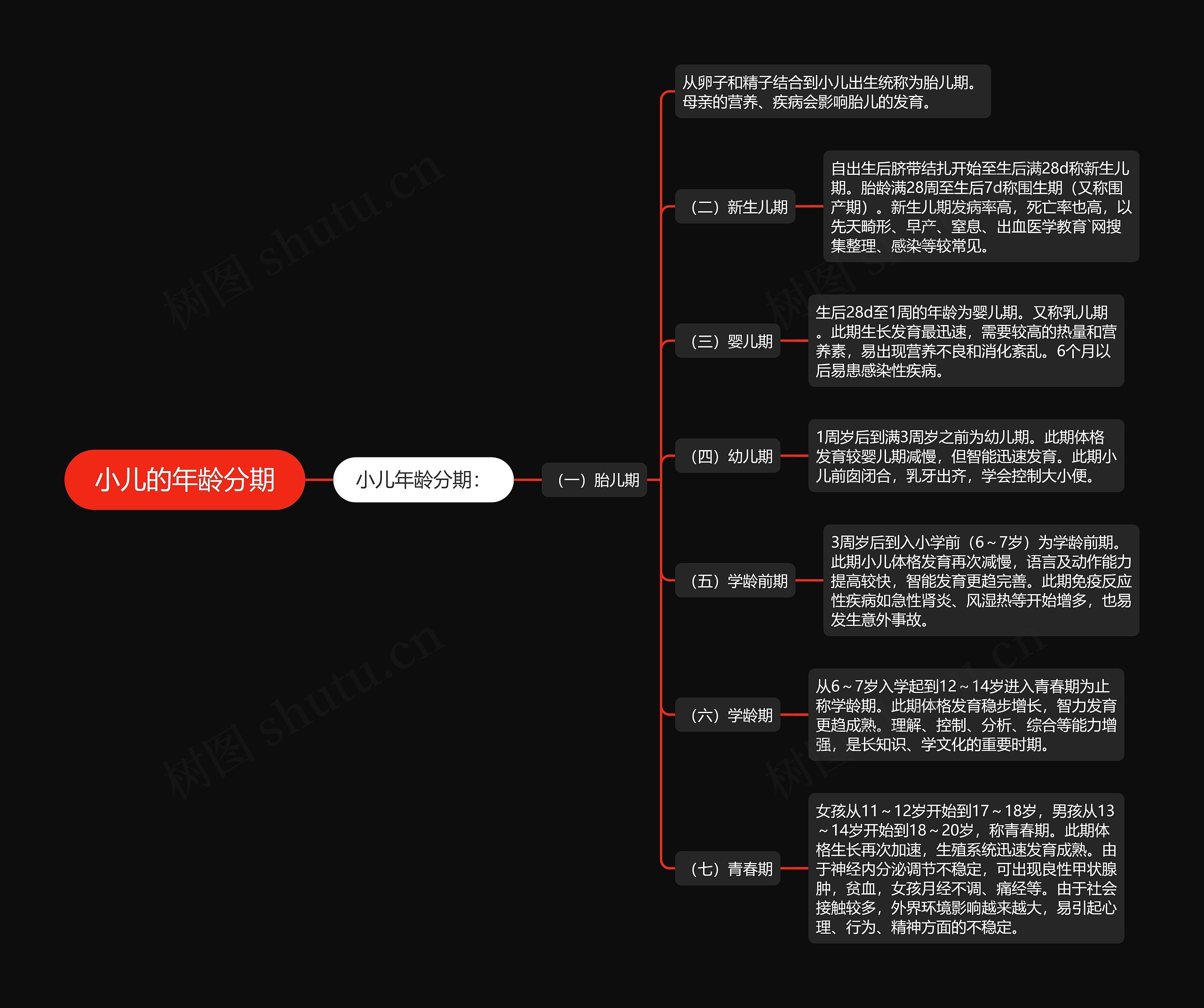 小儿的年龄分期