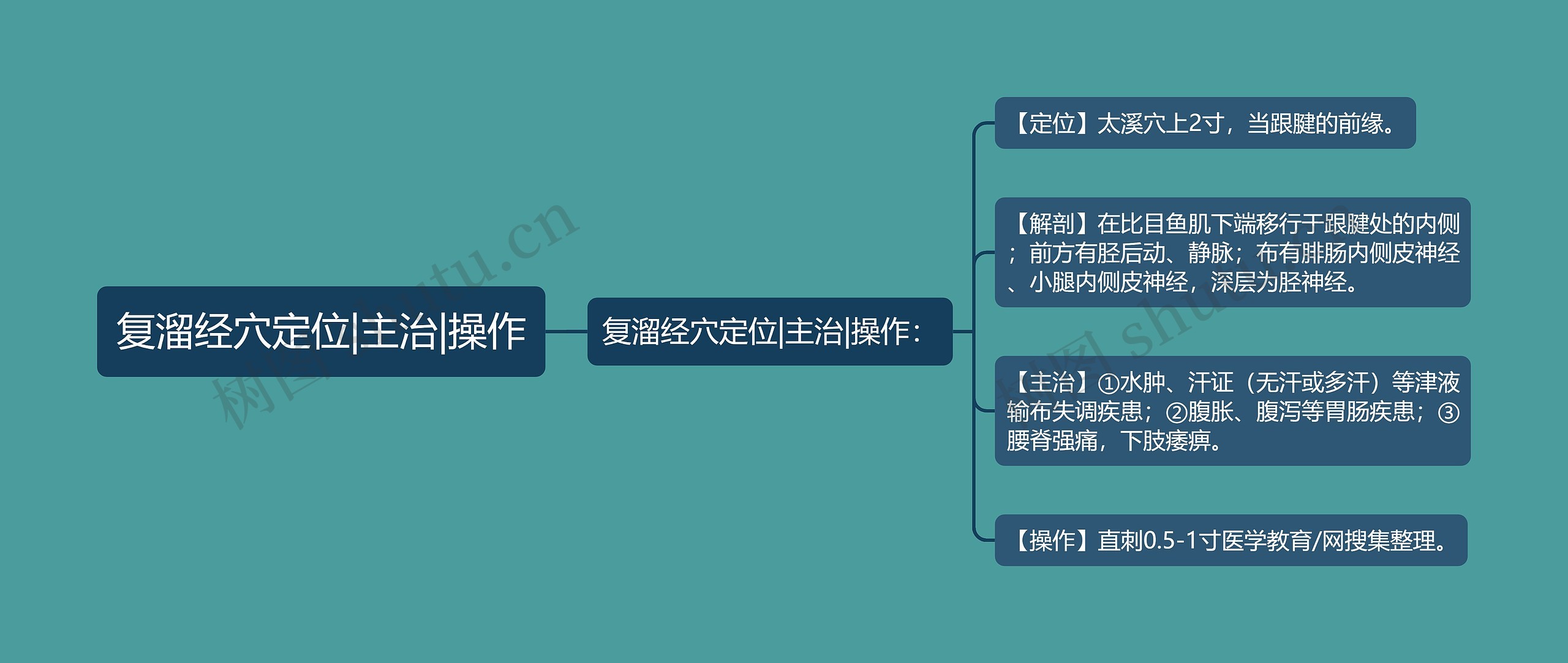 复溜经穴定位|主治|操作思维导图