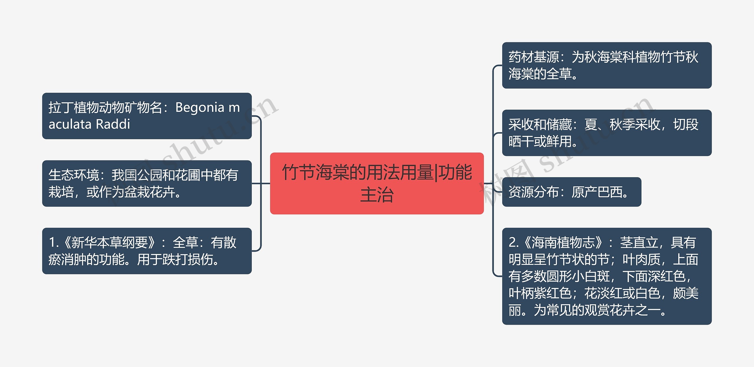 竹节海棠的用法用量|功能主治思维导图