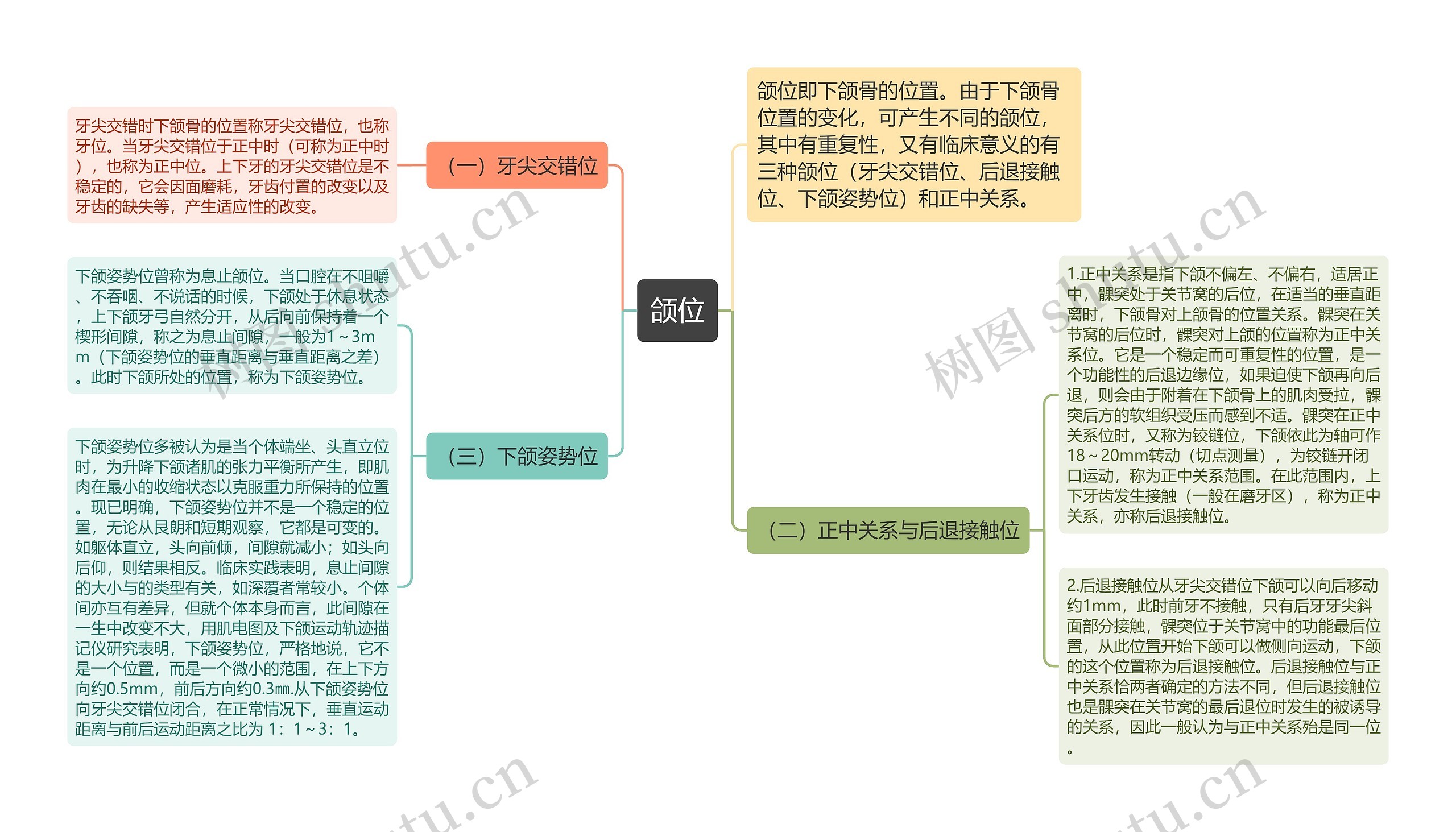 颌位思维导图