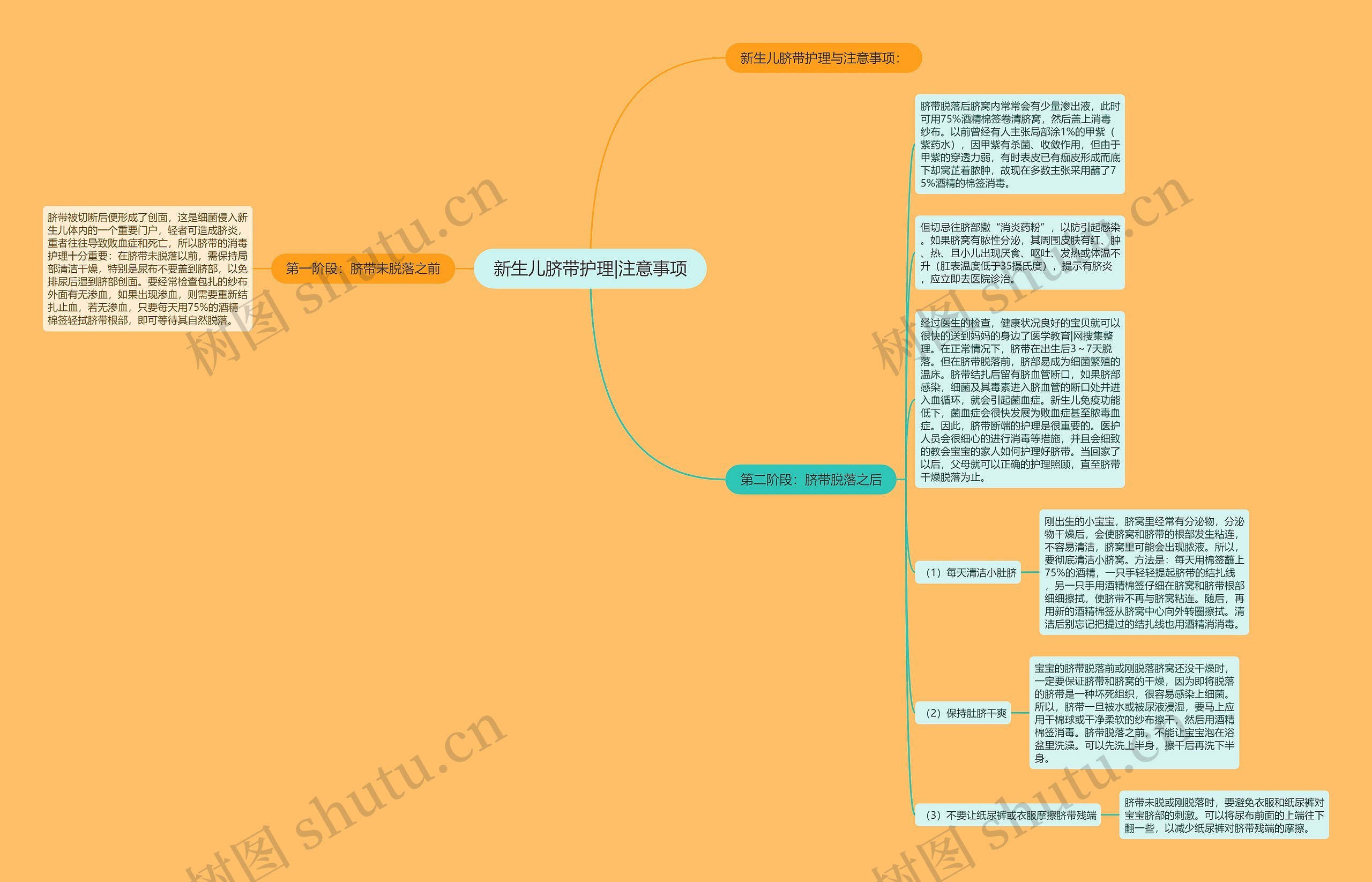 新生儿脐带护理|注意事项思维导图